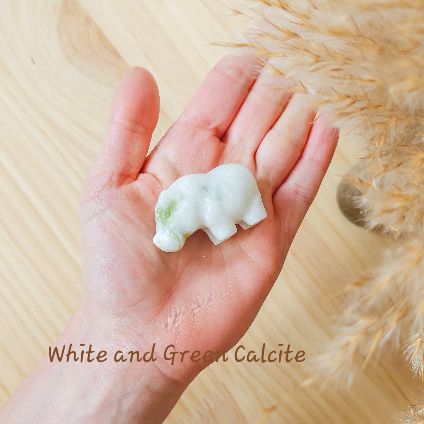 Crystal Hippo