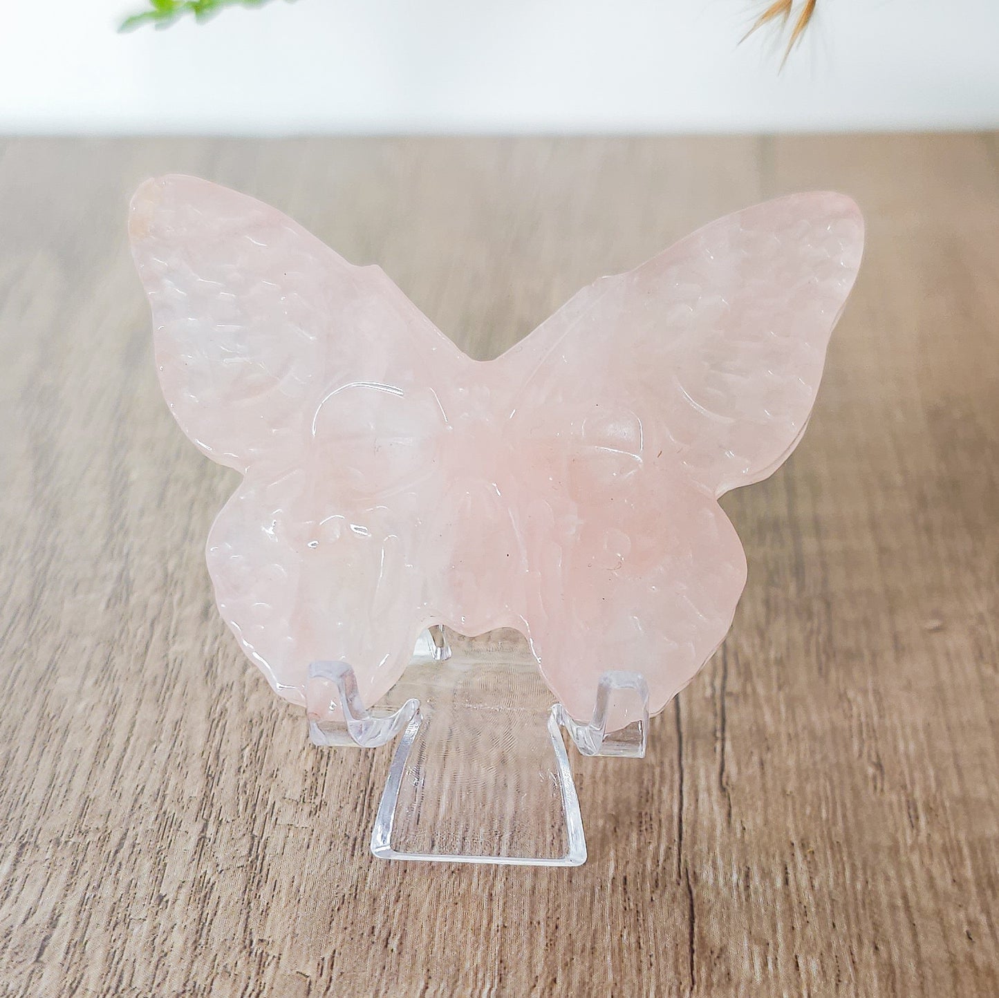 Detailed Butterfly With Engraved Skull Carving