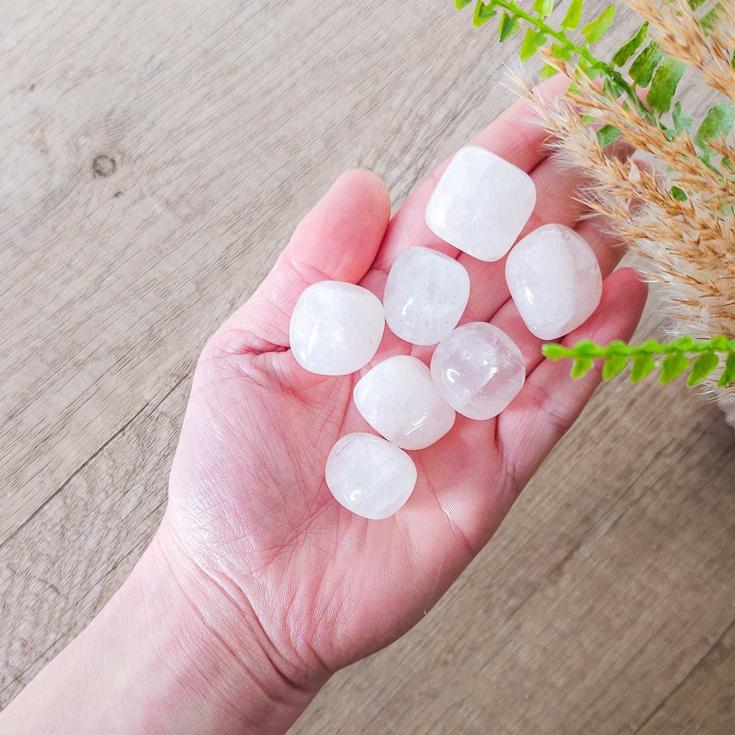 Rose Quartz Tumbled Stone
