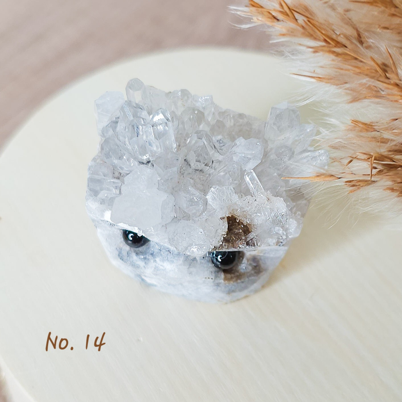 Clear Quartz Cluster Pet Rocks