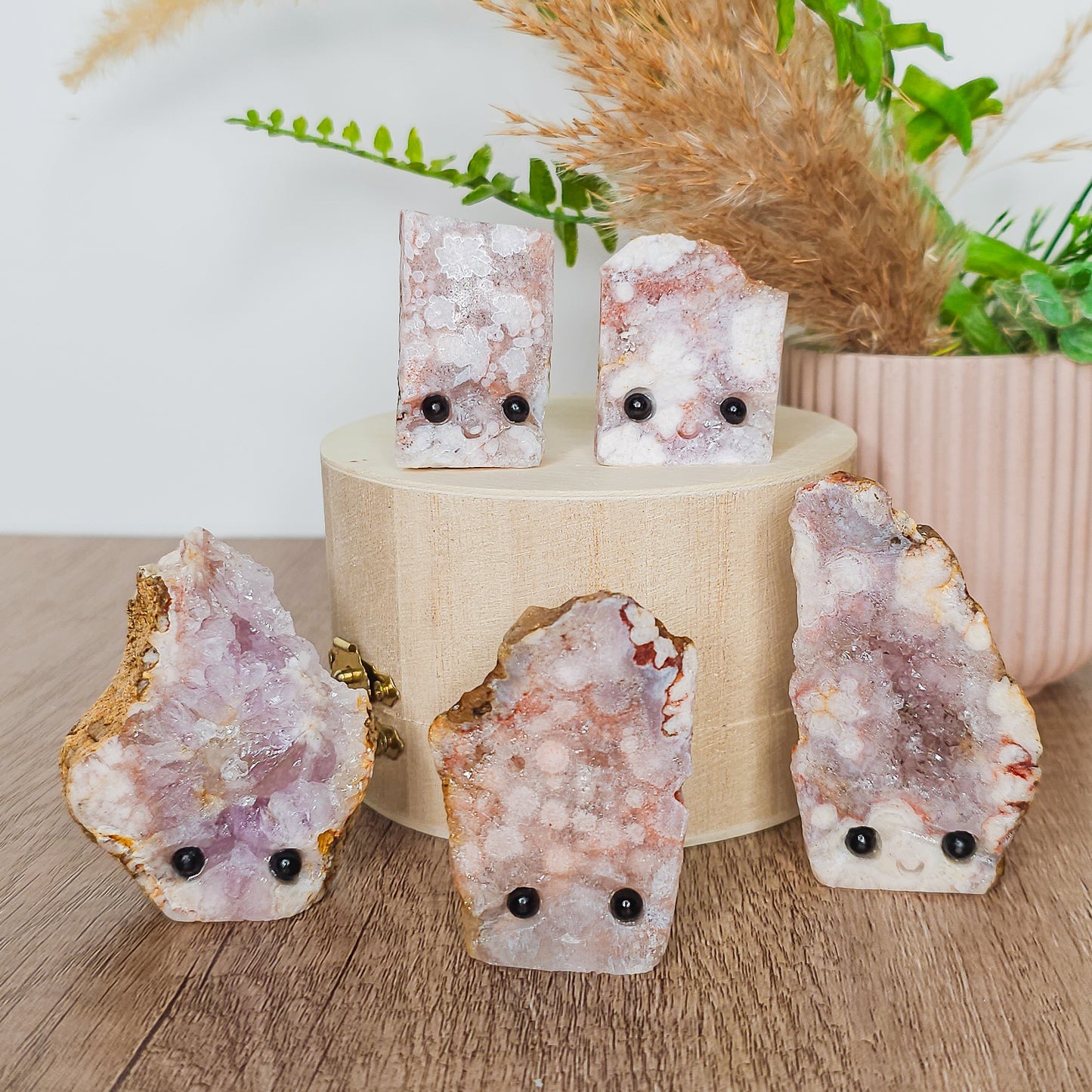 Flower Agate Pet Rocks