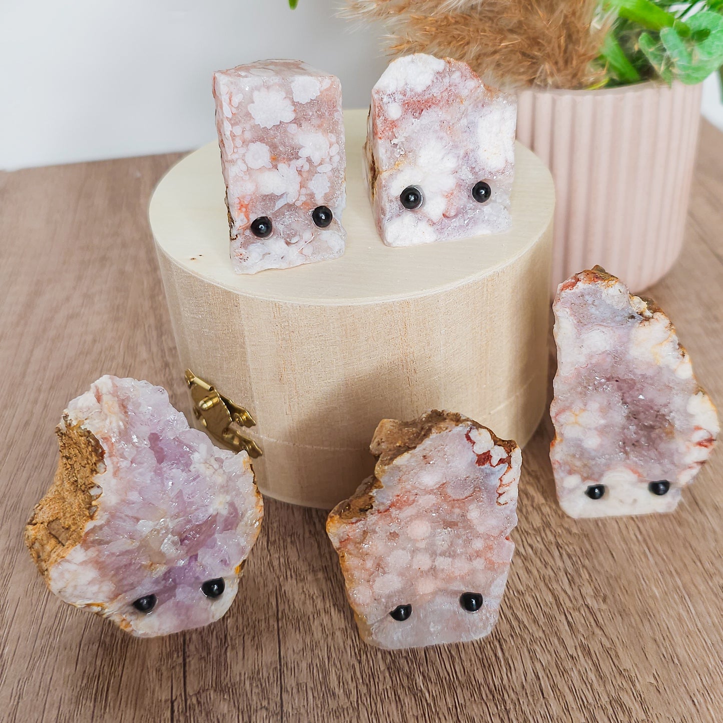 Flower Agate Pet Rocks