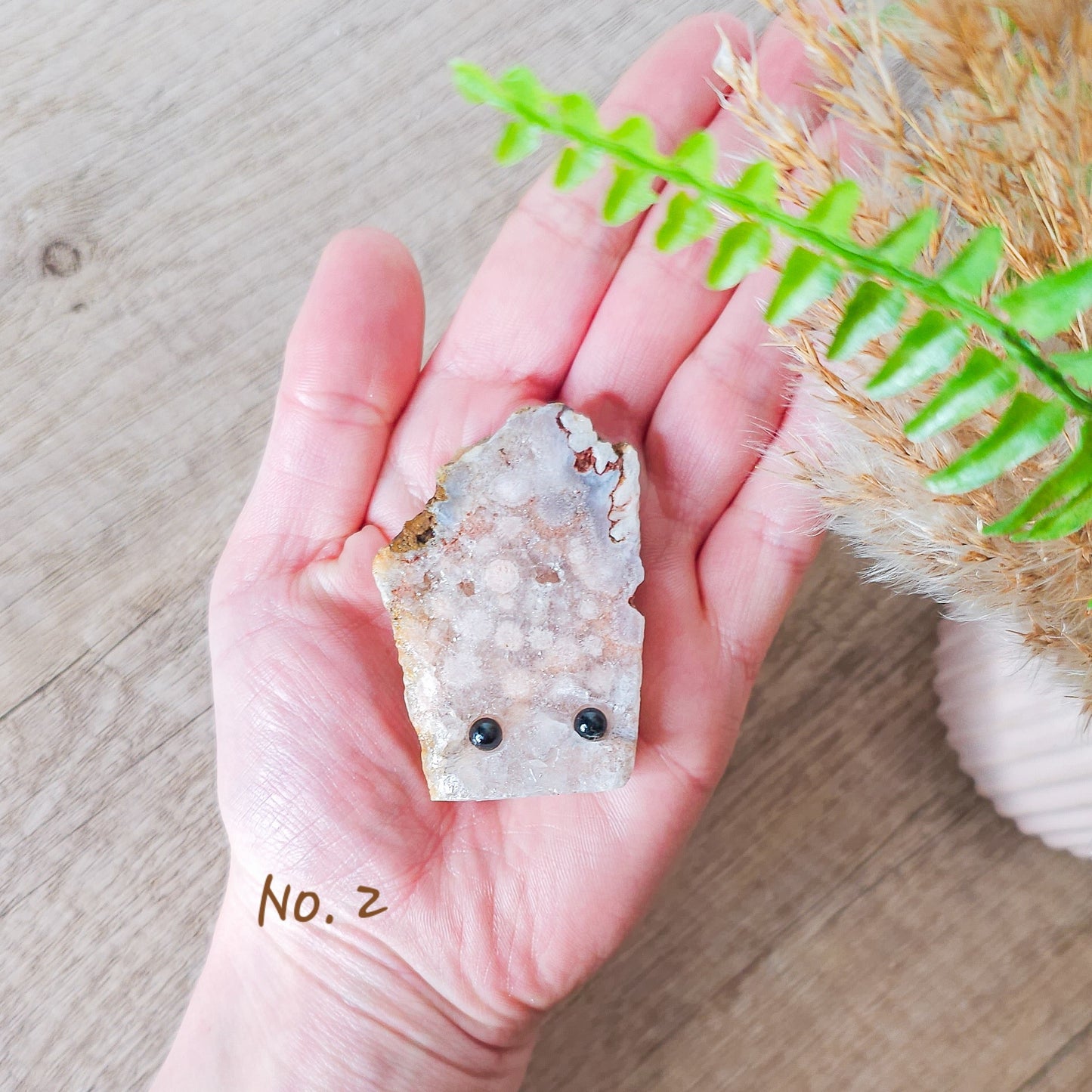 Flower Agate Pet Rocks