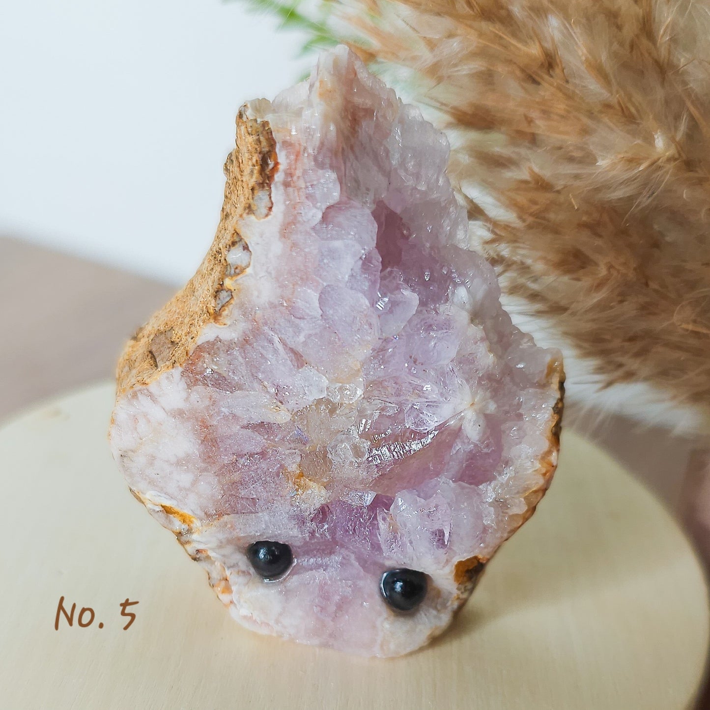 Flower Agate Pet Rocks