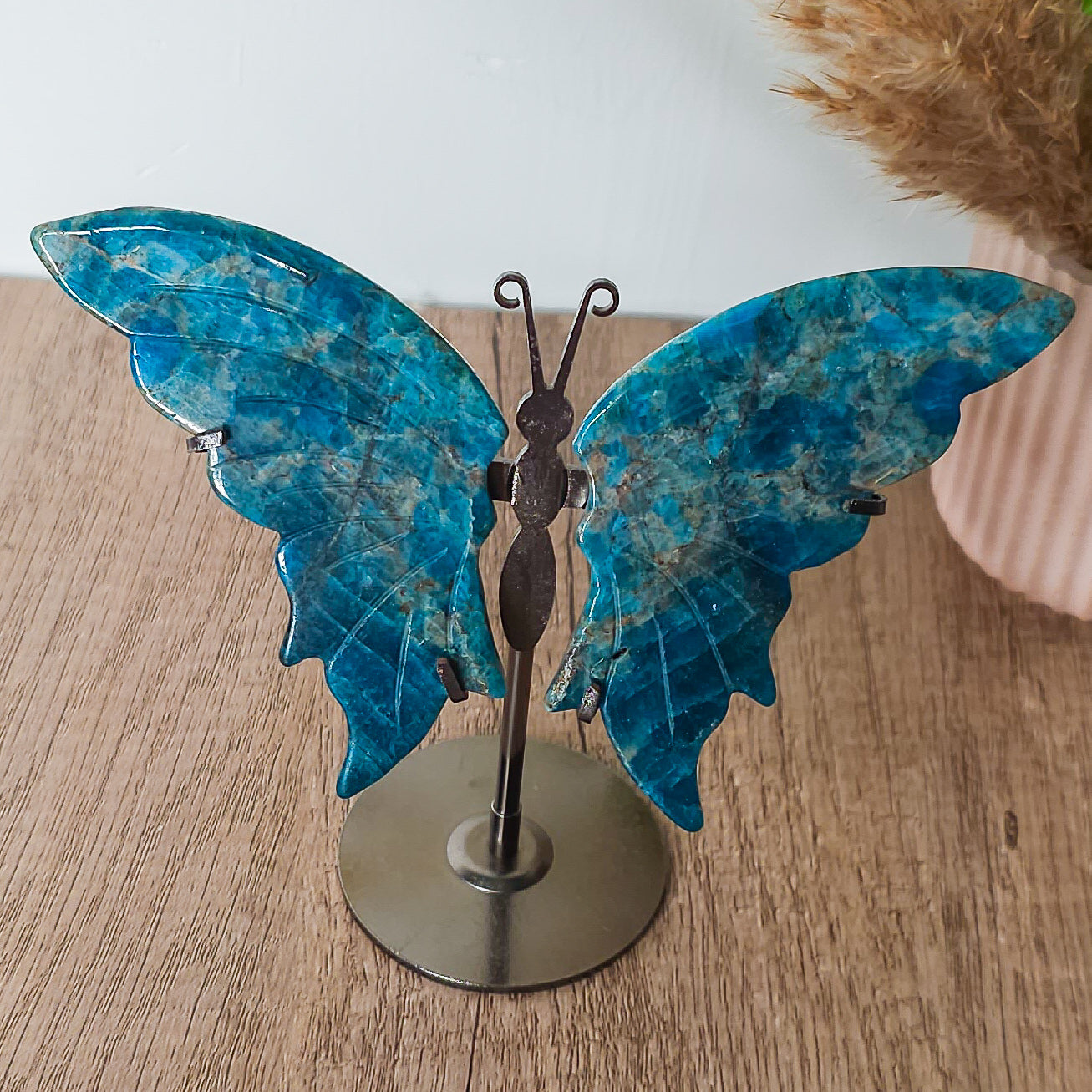 Apatite Butterfly Wings on the stand