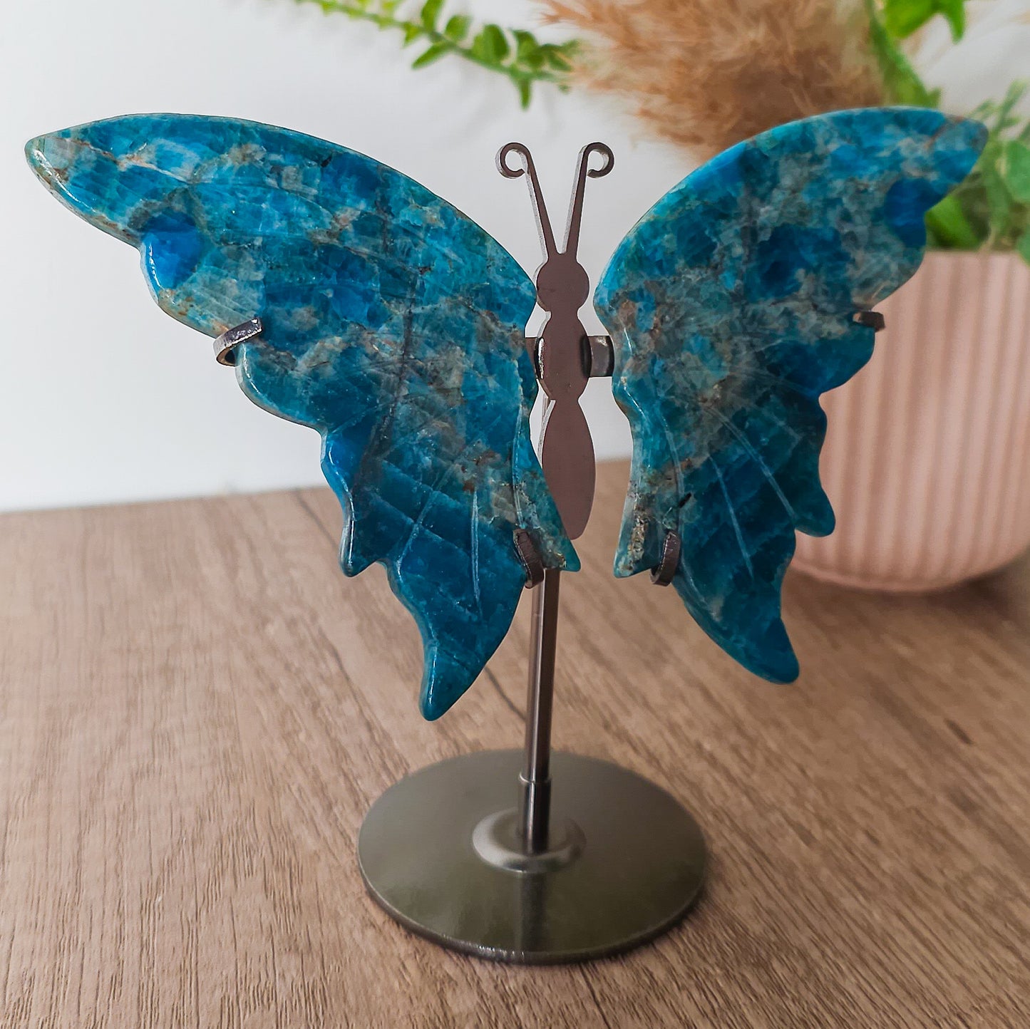 Apatite Butterfly Wings on the stand