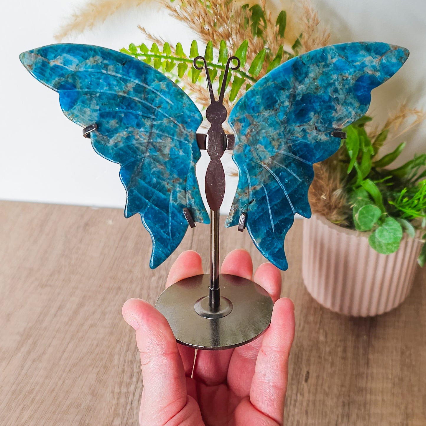 Apatite Butterfly Wings on the stand