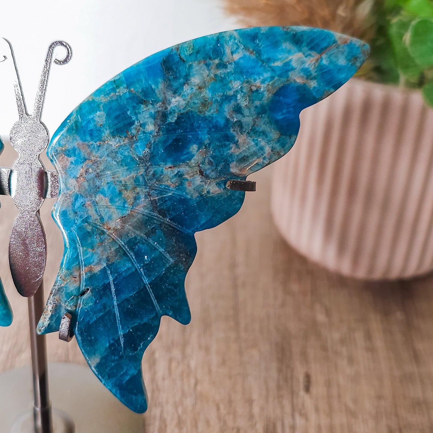 Apatite Butterfly Wings on the stand