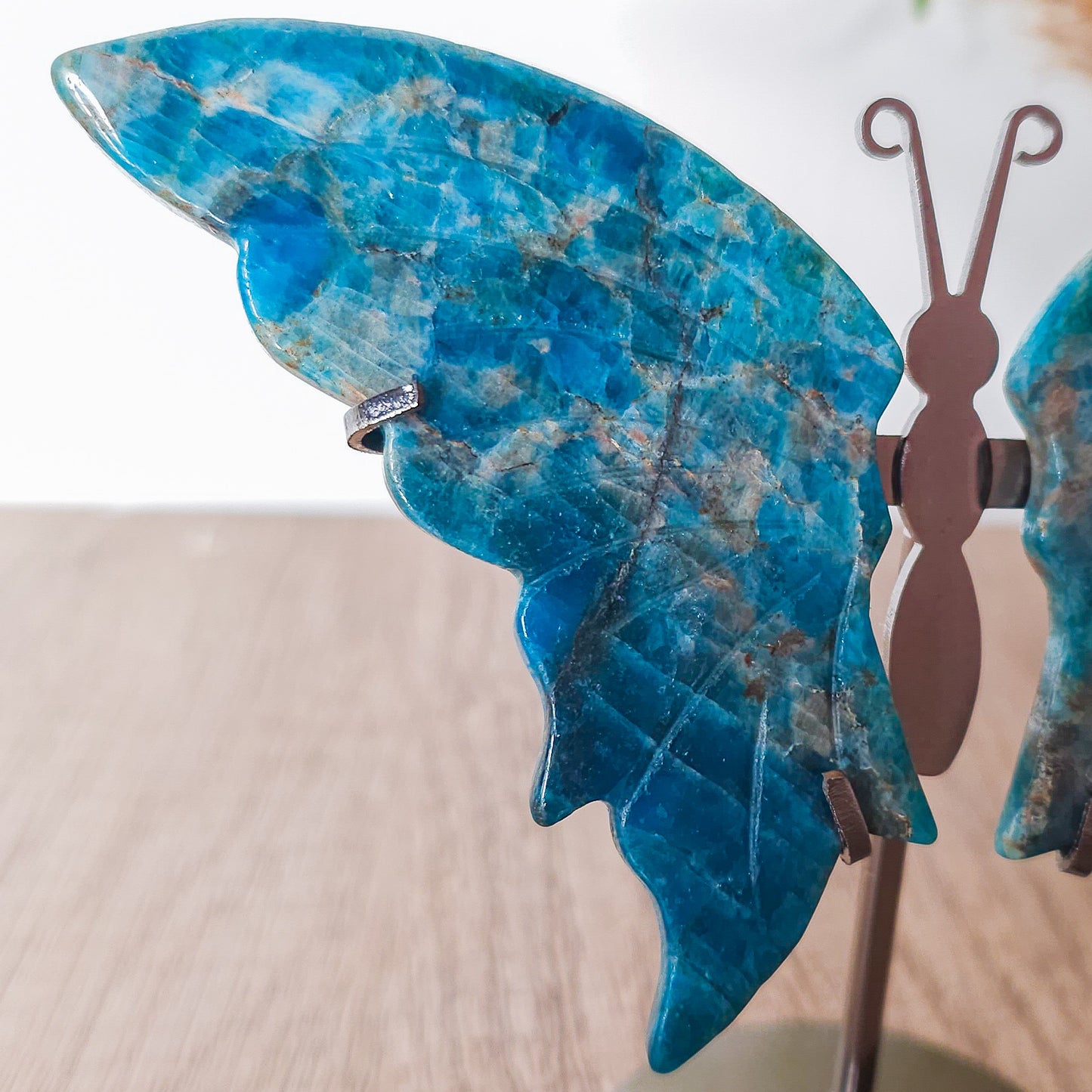 Apatite Butterfly Wings on the stand