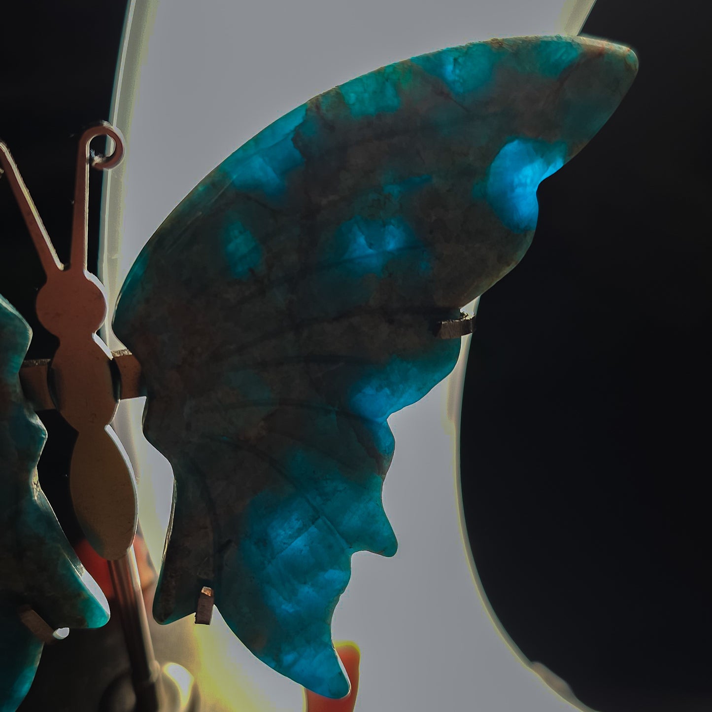 Apatite Butterfly Wings on the stand