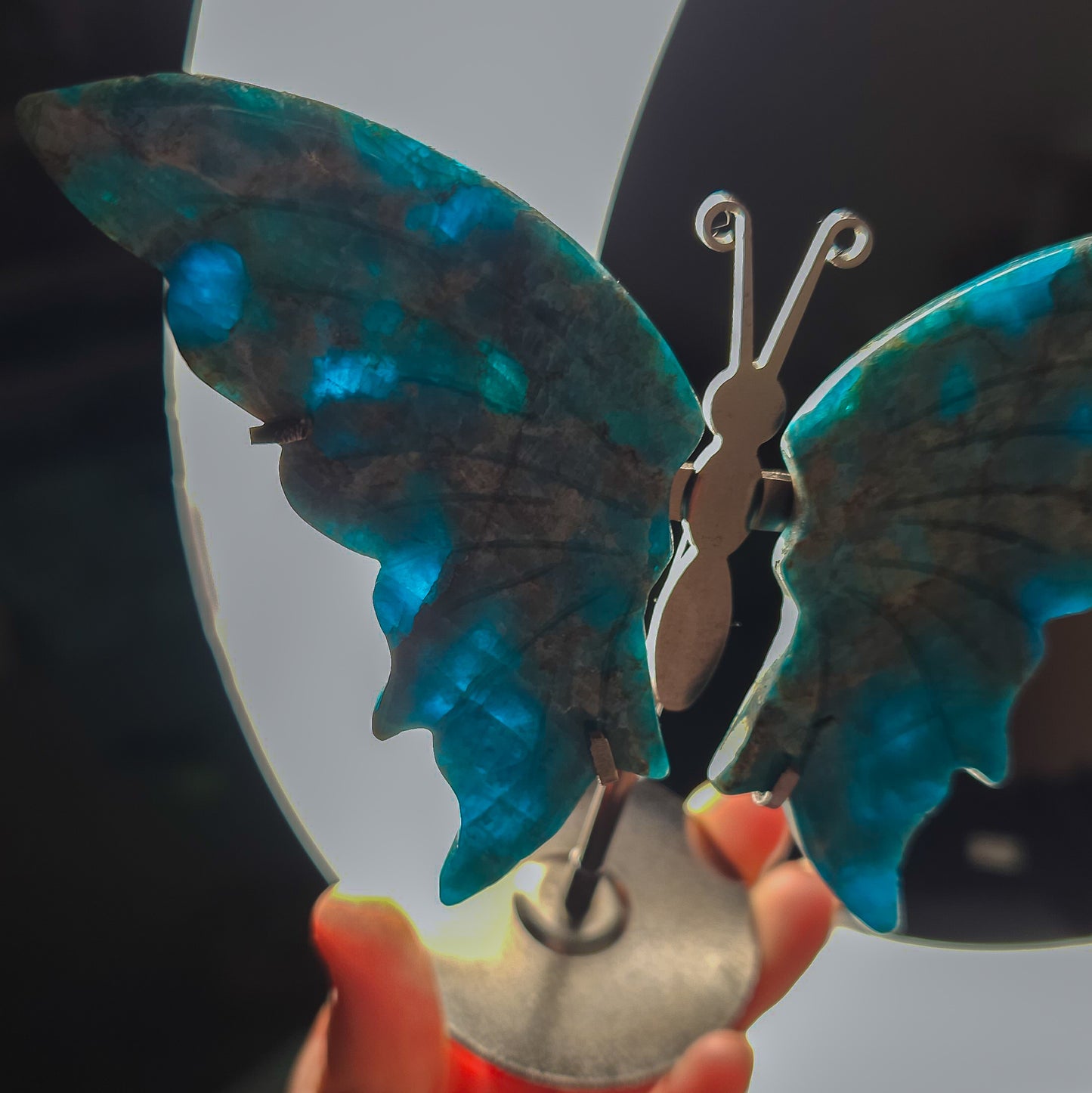 Apatite Butterfly Wings on the stand