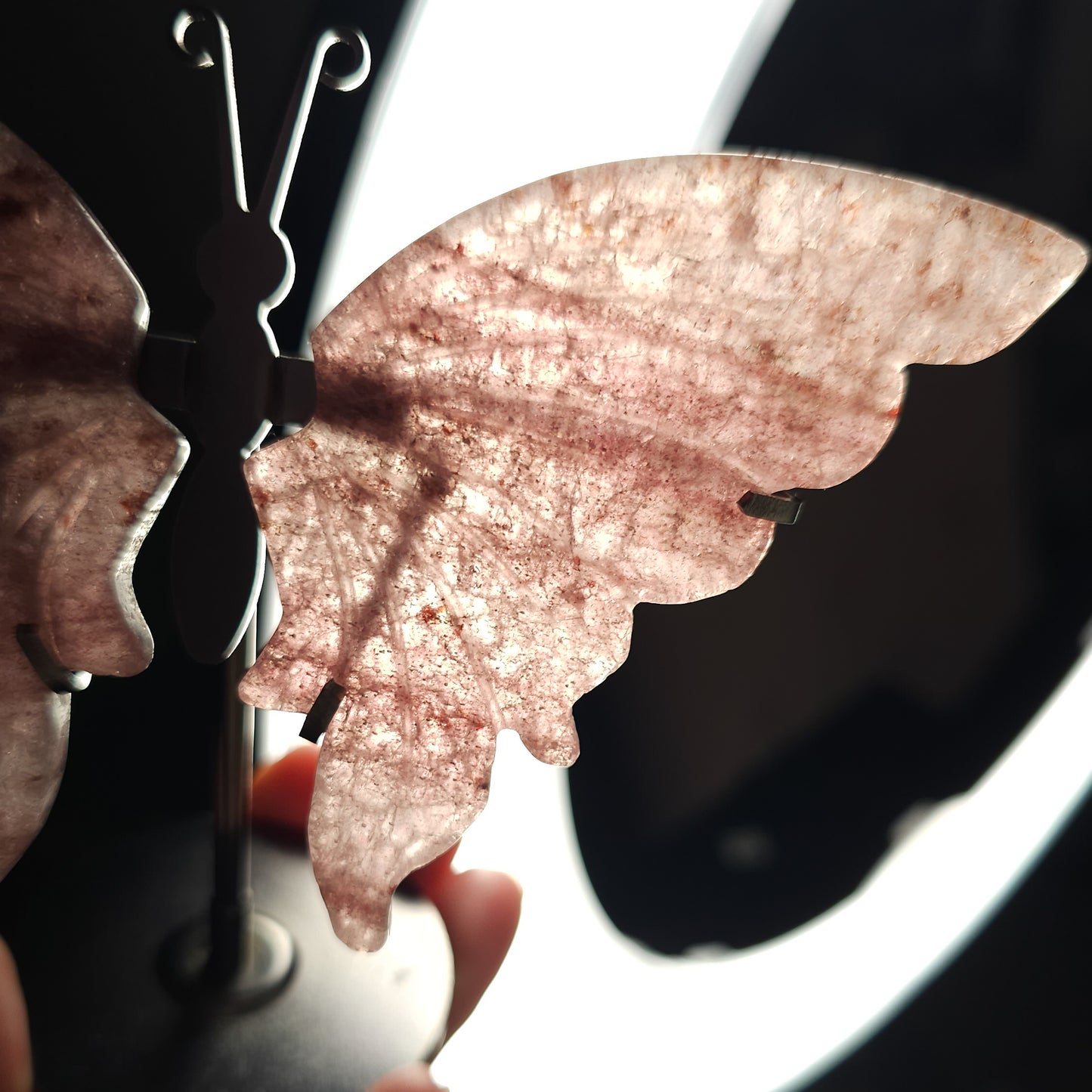 Strawberry Quartz Butterfly Wings on the stand