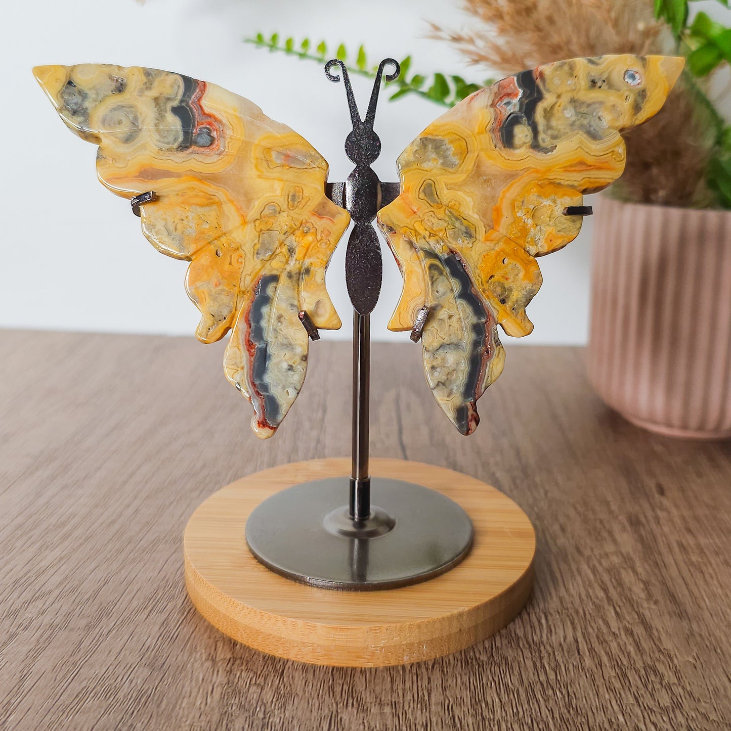 Crazy Lace Agate Butterfly Wings on the stand