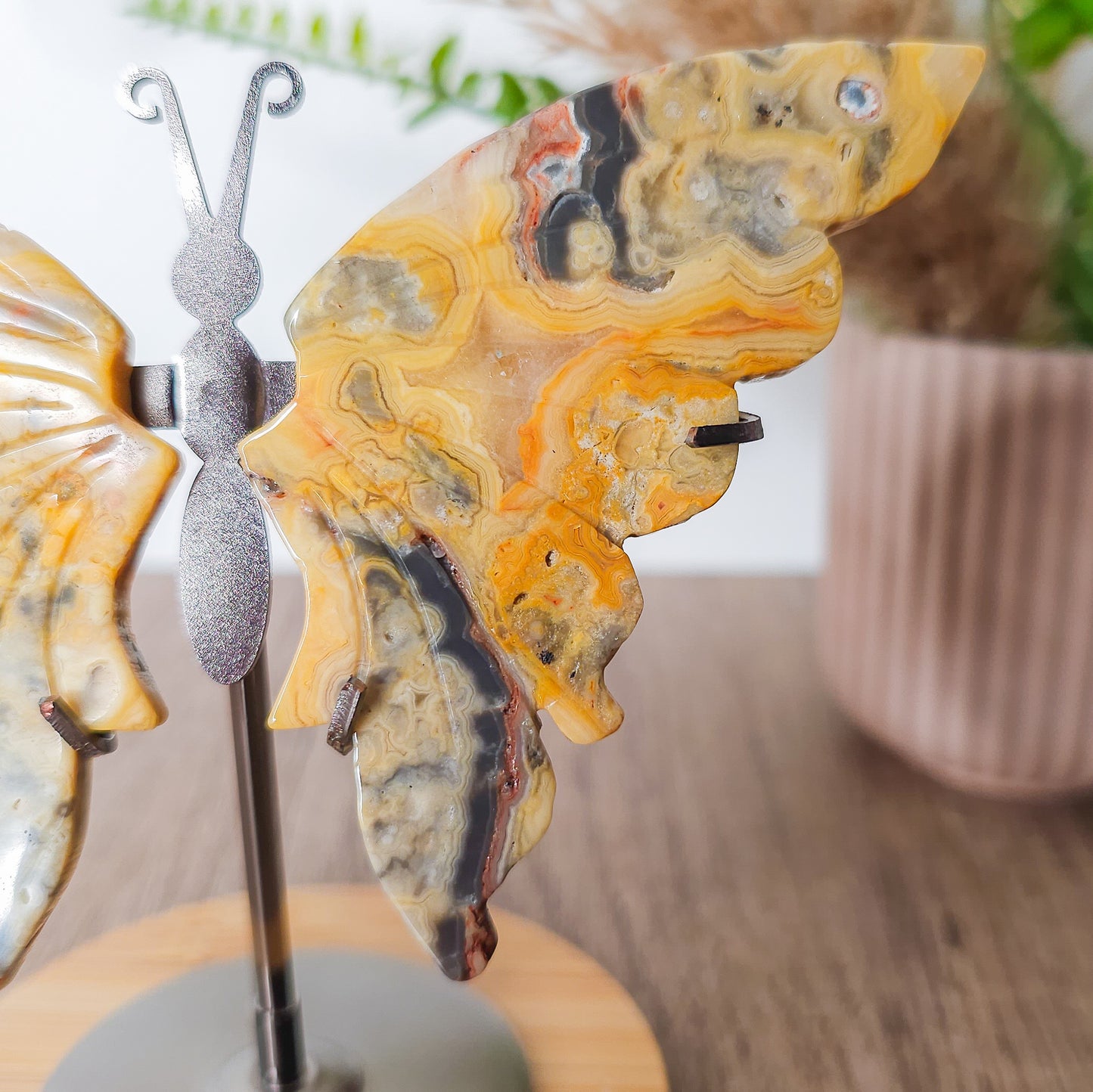 Crazy Lace Agate Butterfly Wings on the stand