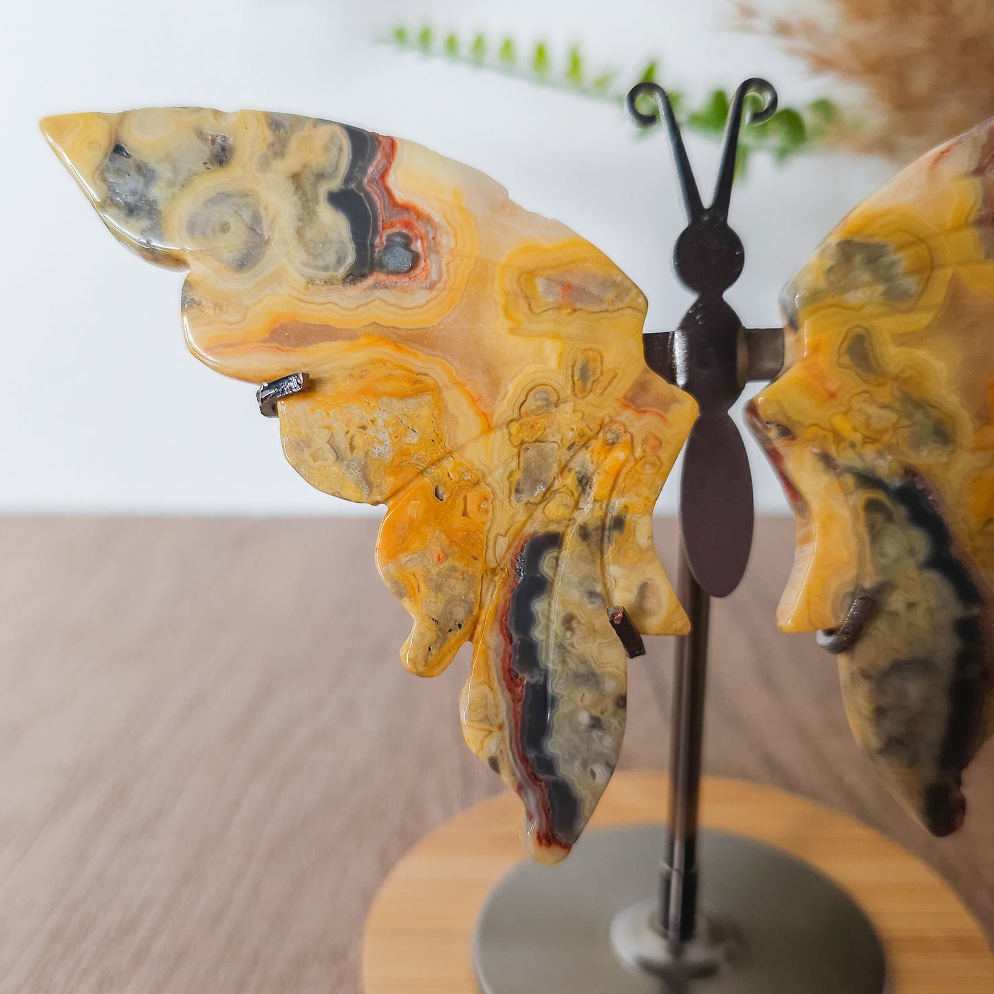 Crazy Lace Agate Butterfly Wings on the stand