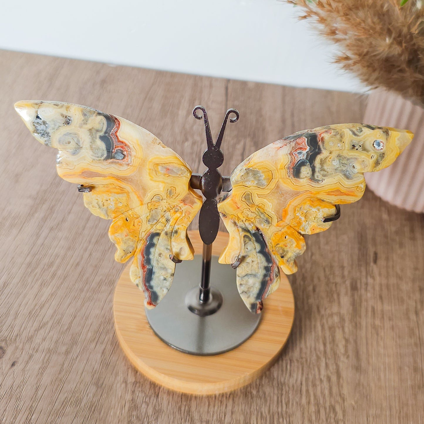 Crazy Lace Agate Butterfly Wings on the stand
