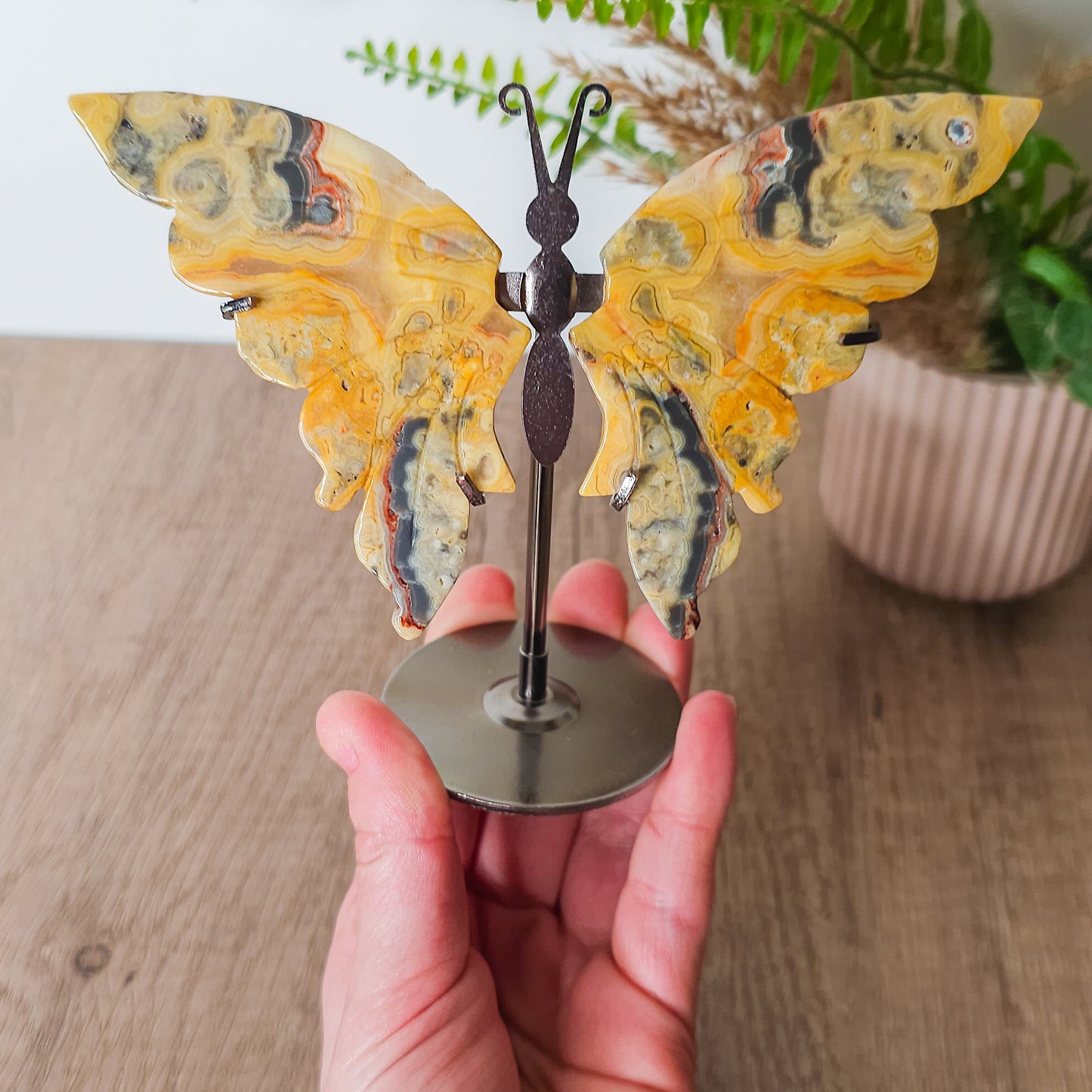 Crazy Lace Agate Butterfly Wings on the stand