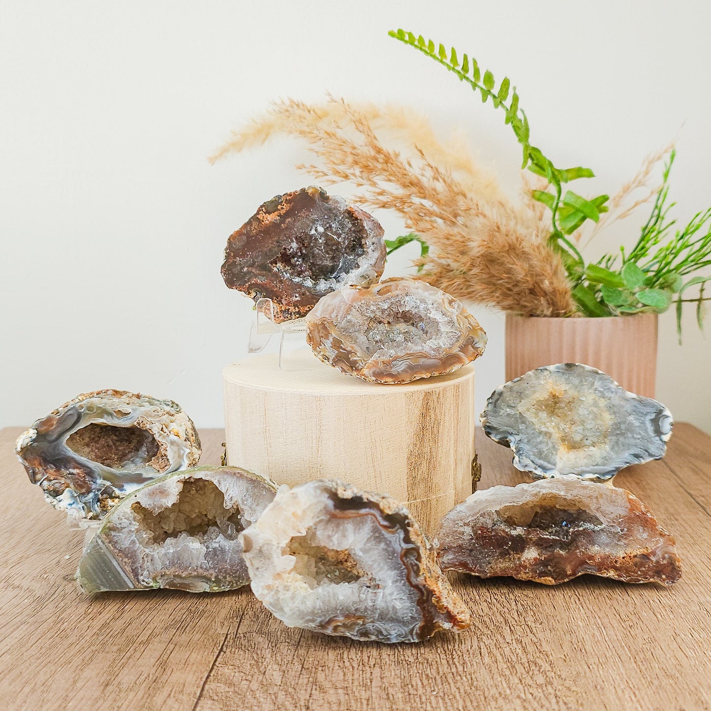 Agate Geodes with Druzy Quartz