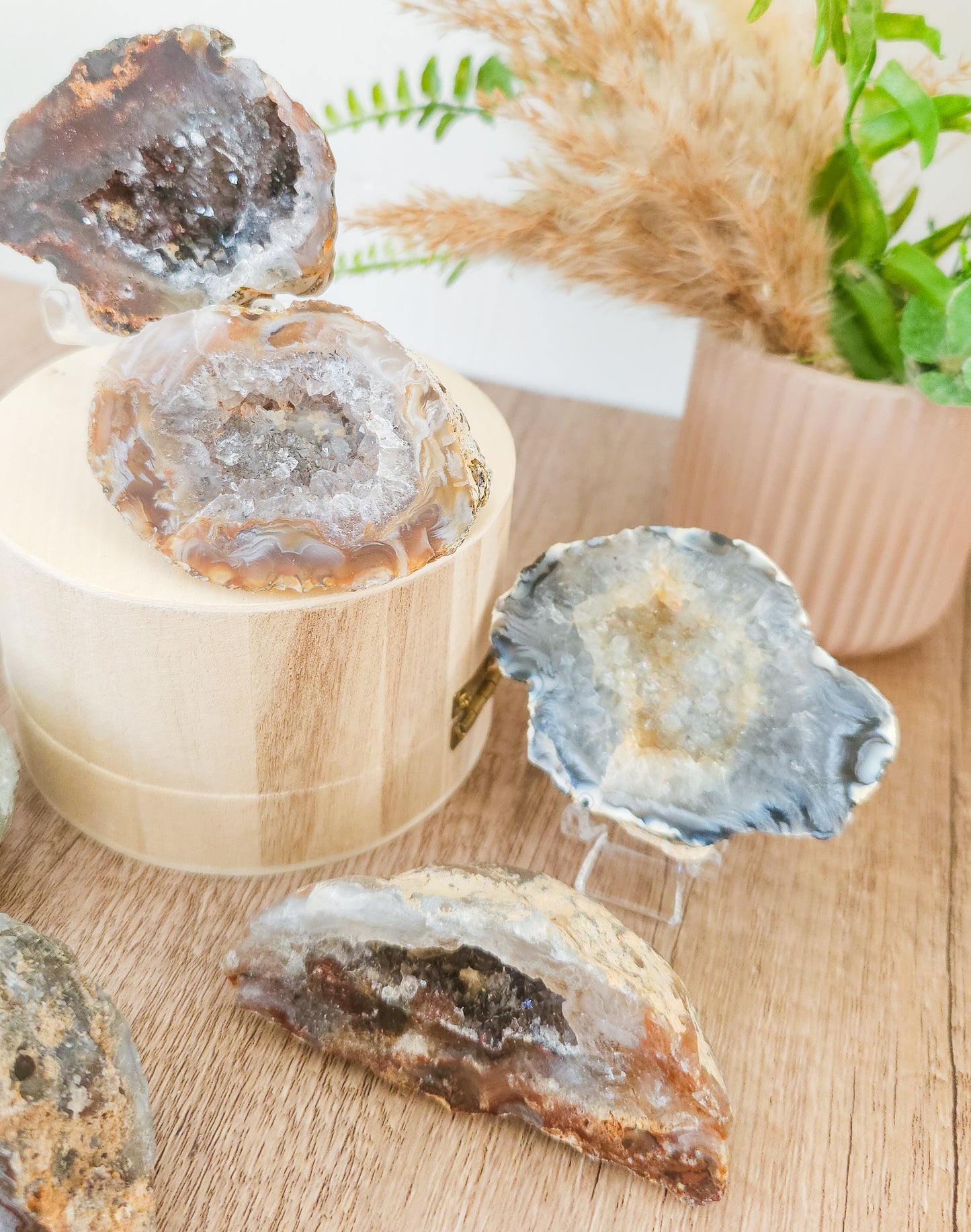 Agate Geodes with Druzy Quartz