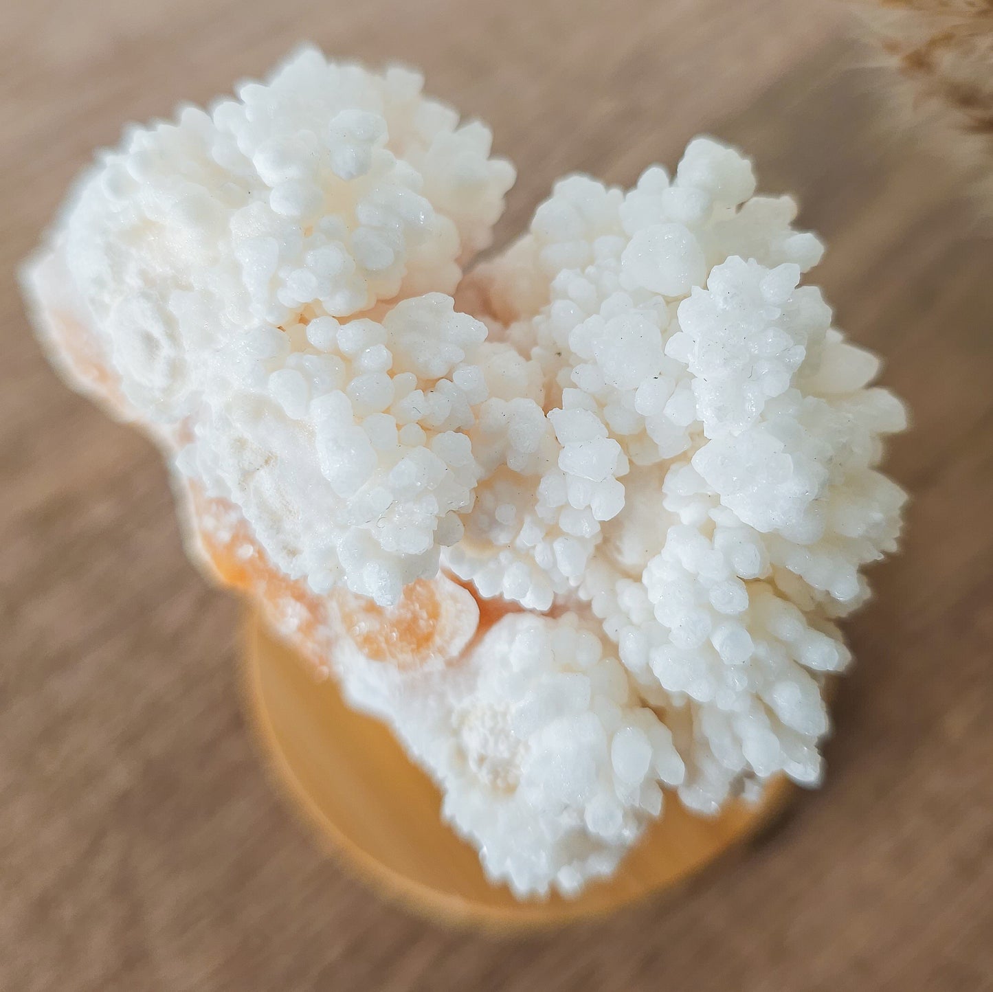 Phosphorescent Aragonite