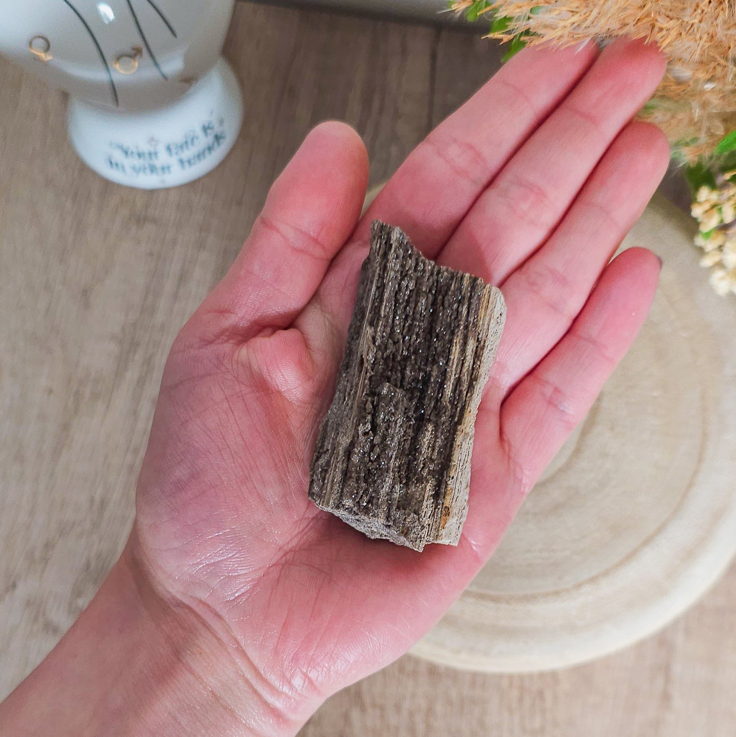 Rare Permineralized Wood (Petrified Wood) with very Sparkly Microcrystalline Quartz