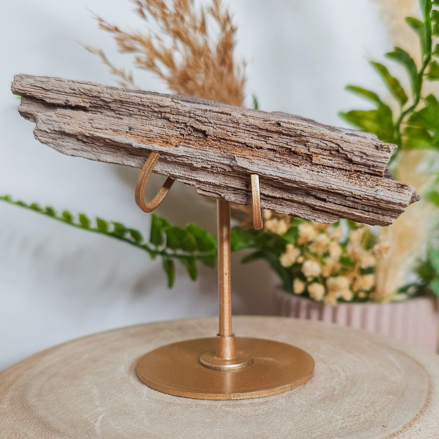 Rare Permineralized Wood (Petrified Wood) with very Sparkly Microcrystalline Quartz