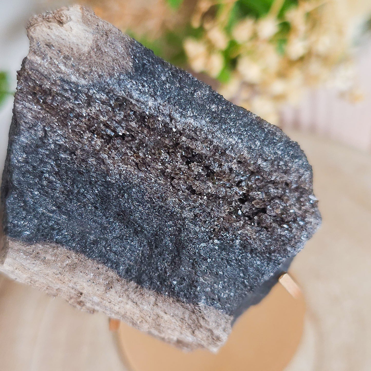 Rare Permineralized Wood (Petrified Wood) with very Sparkly Microcrystalline Quartz
