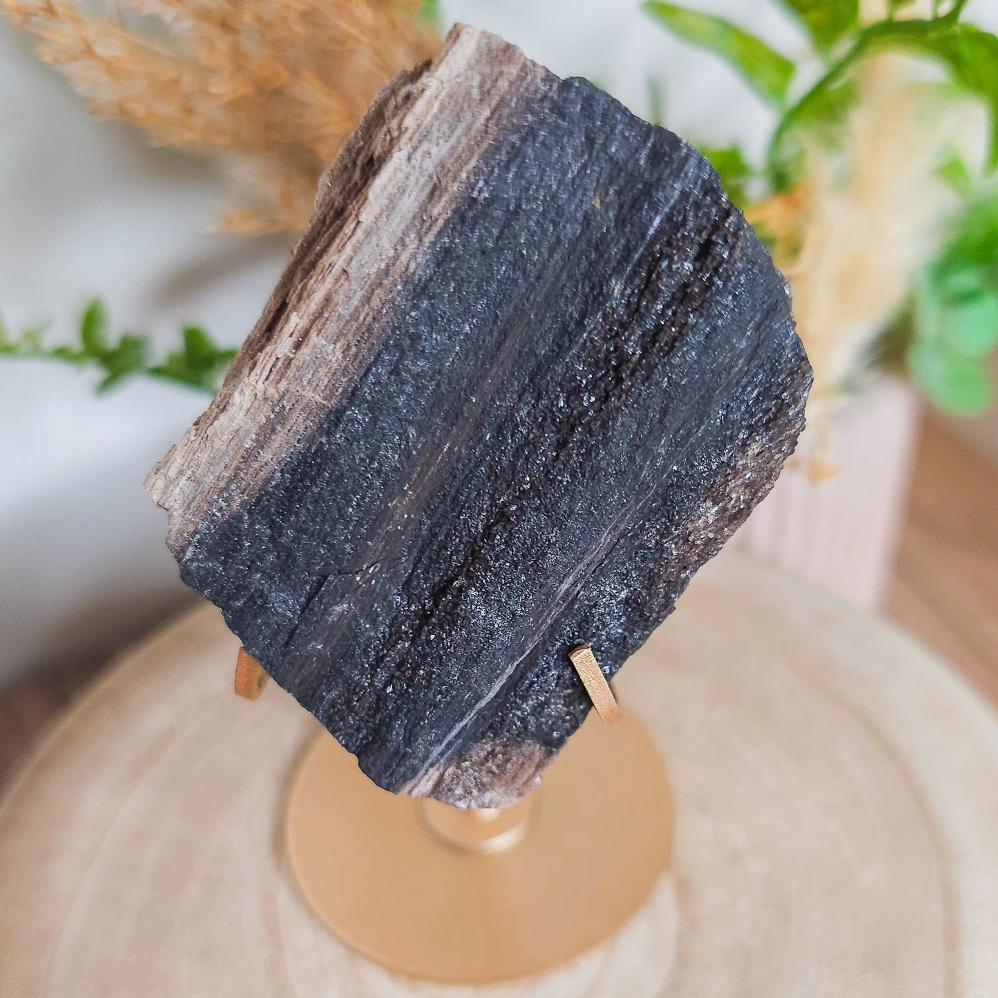 Rare Permineralized Wood (Petrified Wood) with very Sparkly Microcrystalline Quartz
