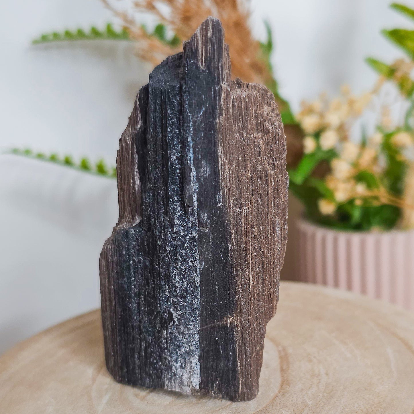 Rare Permineralized Wood (Petrified Wood) with very Sparkly Microcrystalline Quartz