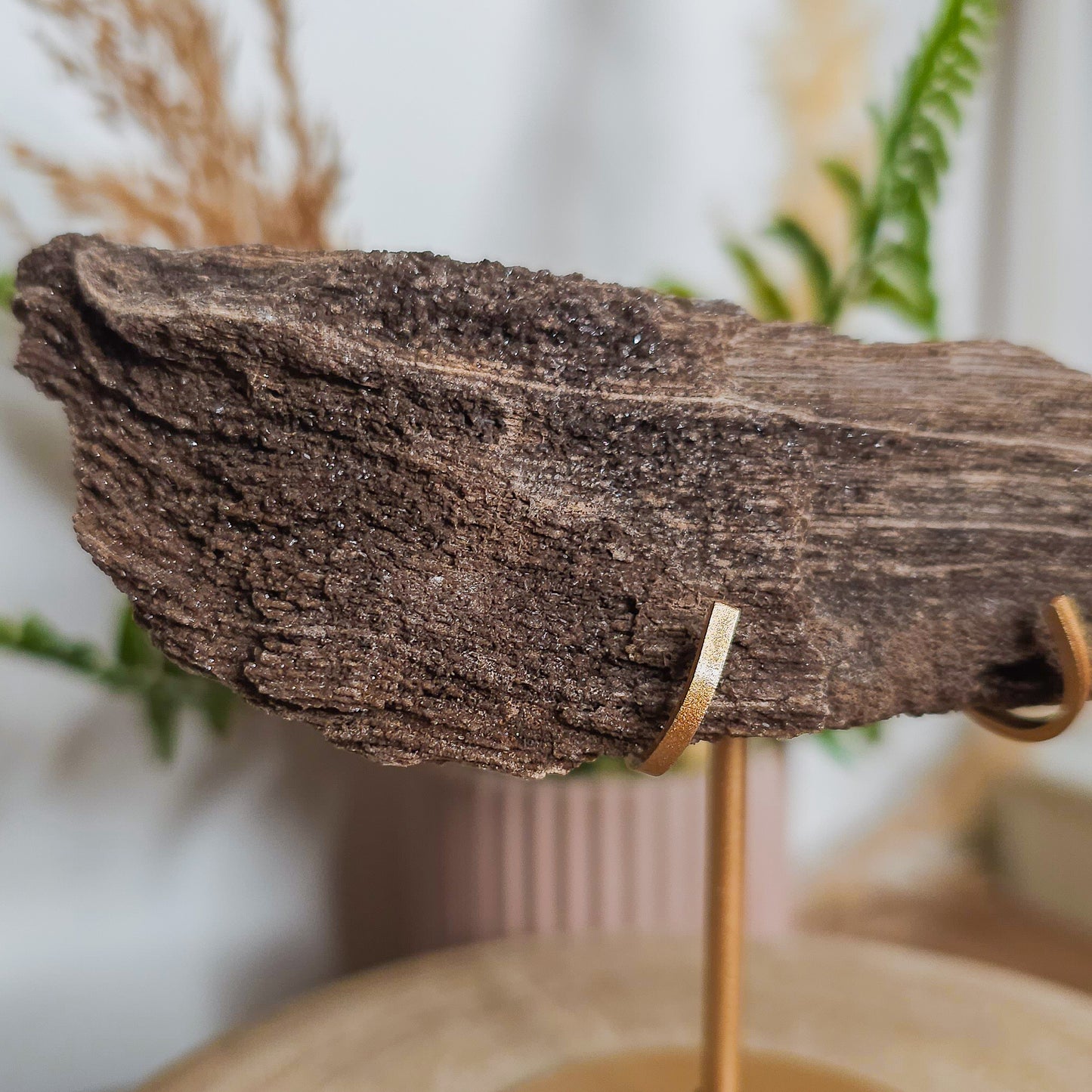 Rare Permineralized Wood (Petrified Wood) with very Sparkly Microcrystalline Quartz