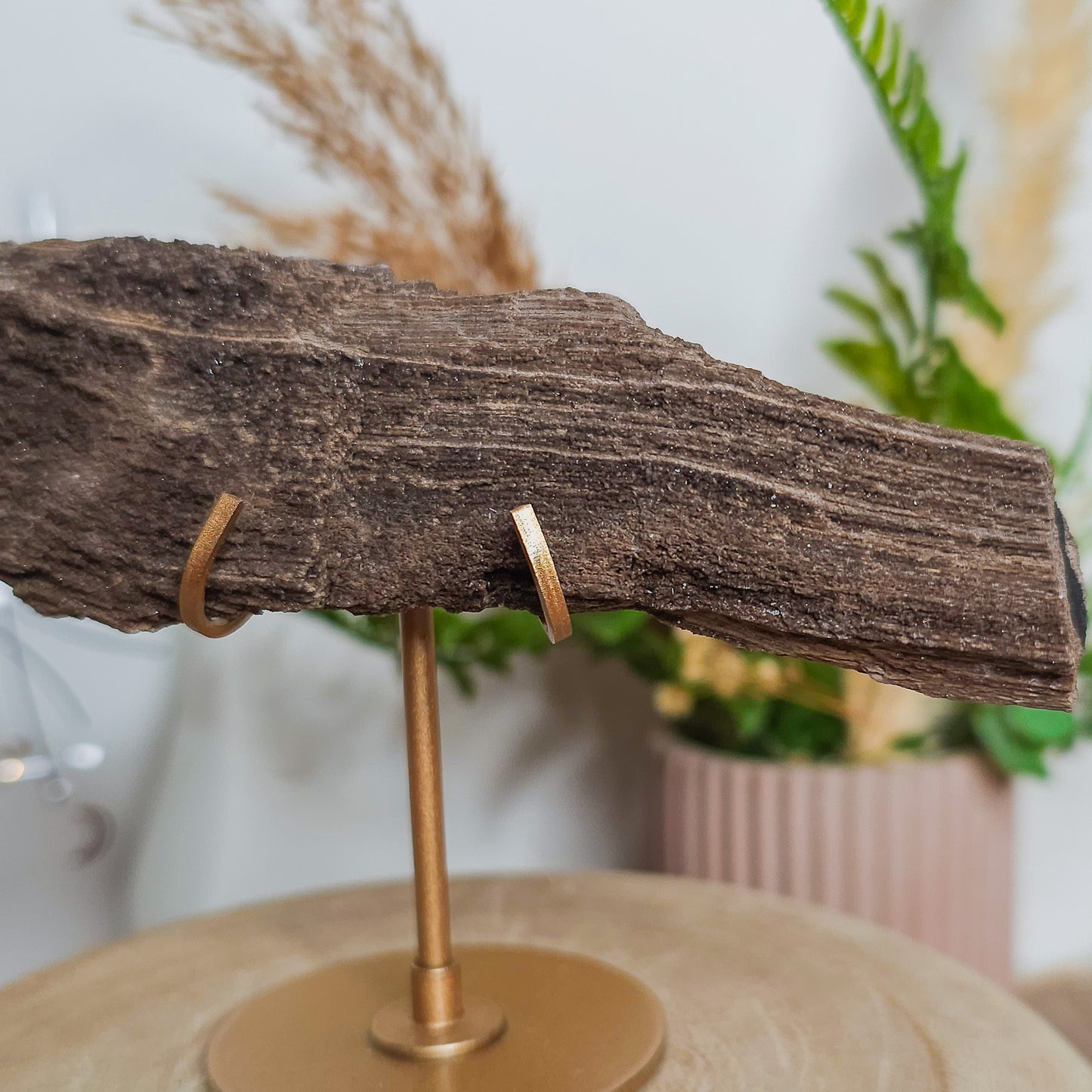 Rare Permineralized Wood (Petrified Wood) with very Sparkly Microcrystalline Quartz