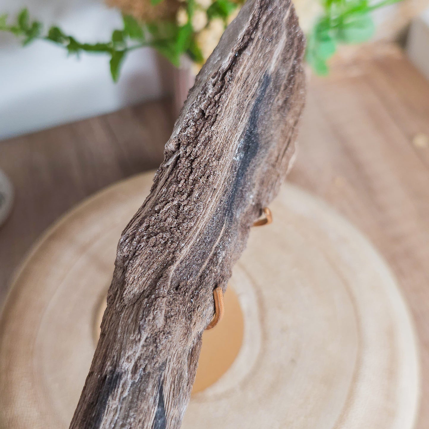 Rare Permineralized Wood (Petrified Wood) with very Sparkly Microcrystalline Quartz