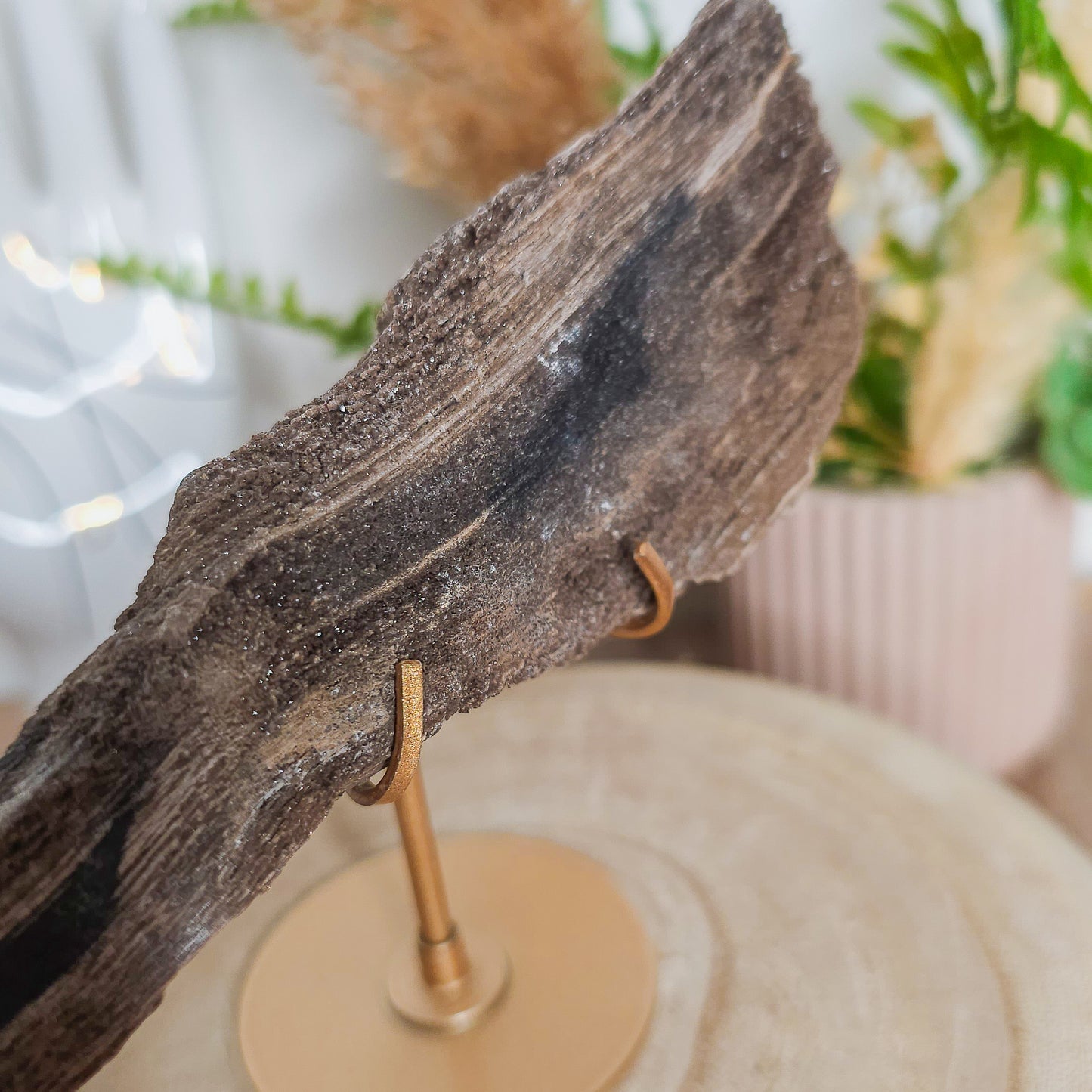 Rare Permineralized Wood (Petrified Wood) with very Sparkly Microcrystalline Quartz