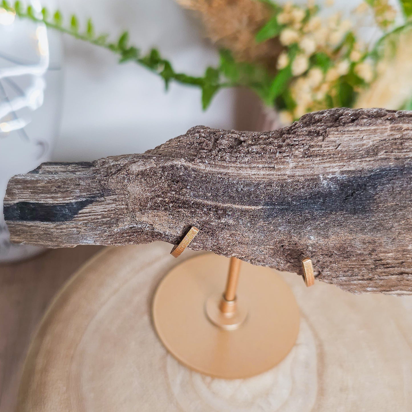 Rare Permineralized Wood (Petrified Wood) with very Sparkly Microcrystalline Quartz