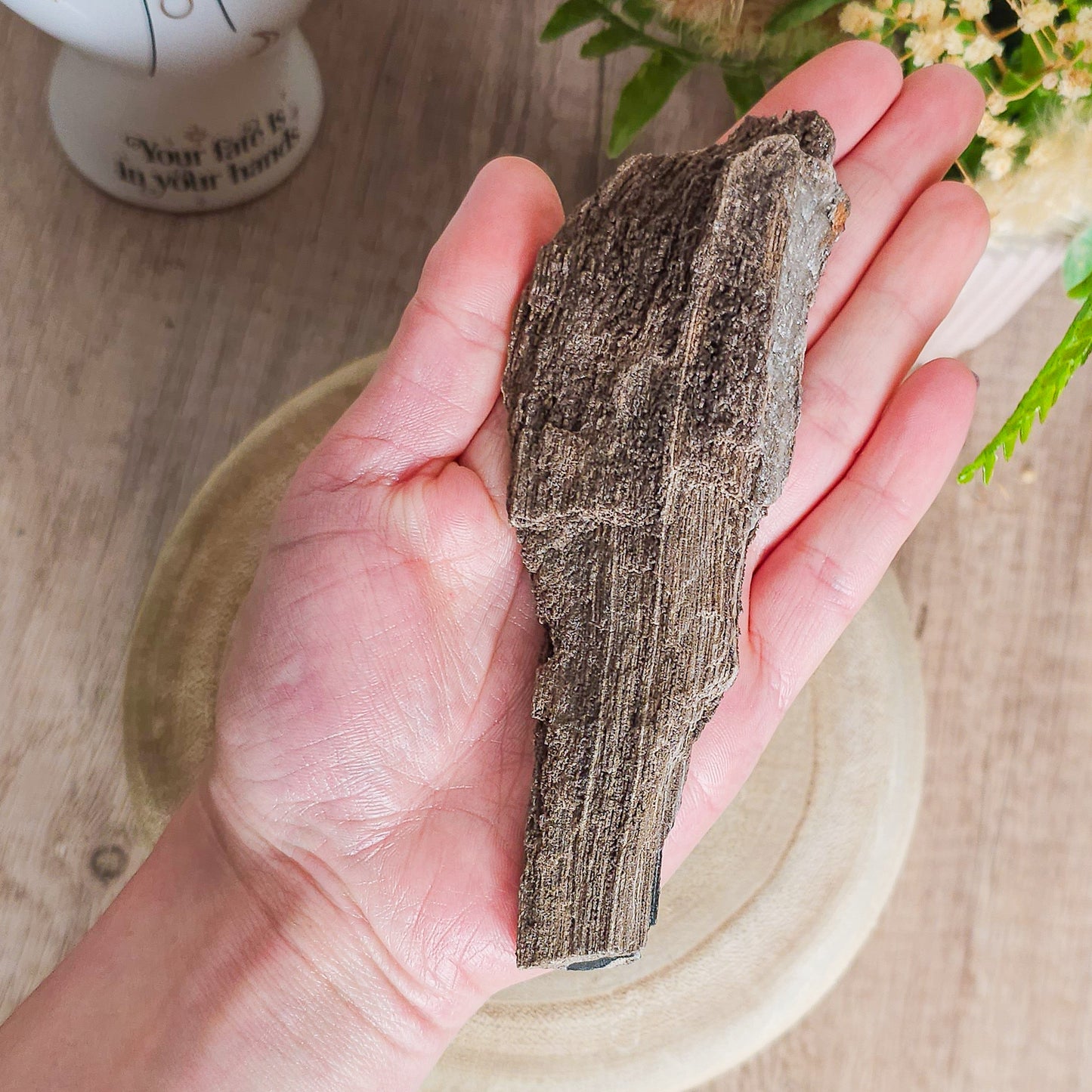 Rare Permineralized Wood (Petrified Wood) with very Sparkly Microcrystalline Quartz