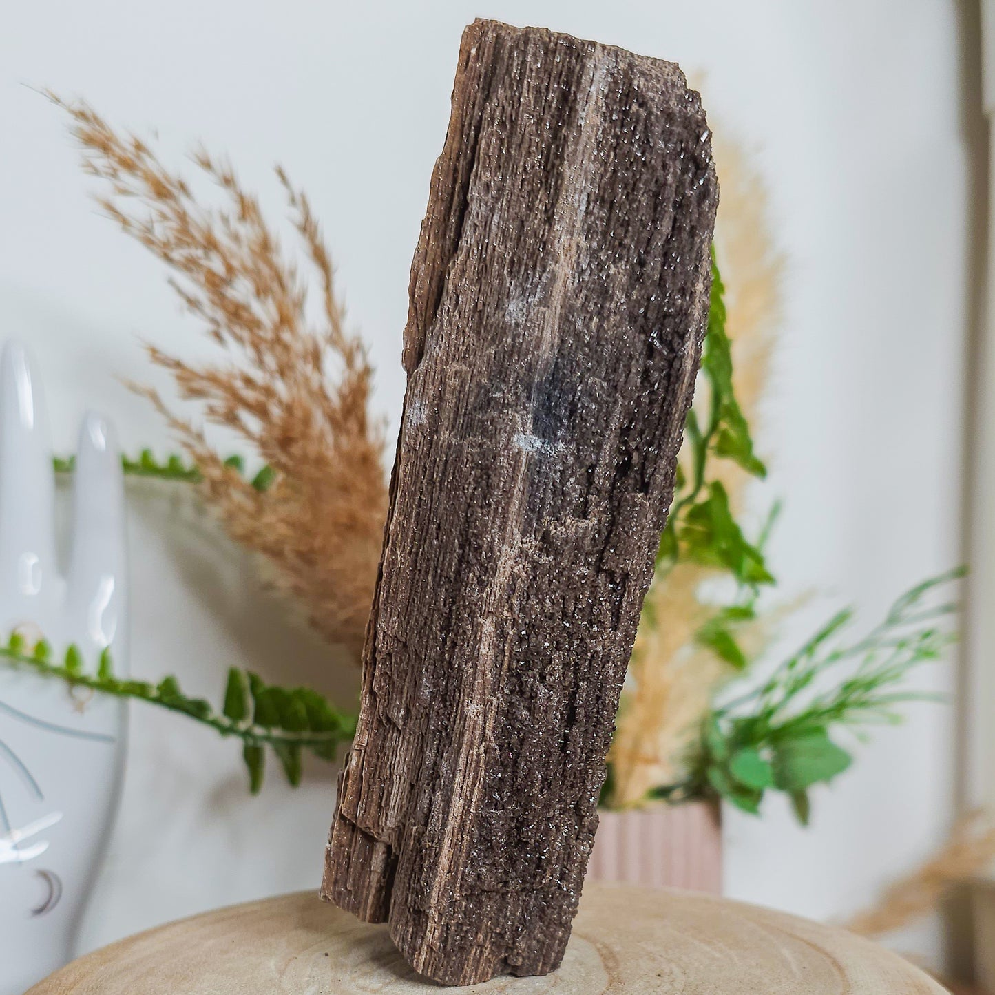 Rare Permineralized Wood (Petrified Wood) with very Sparkly Microcrystalline Quartz