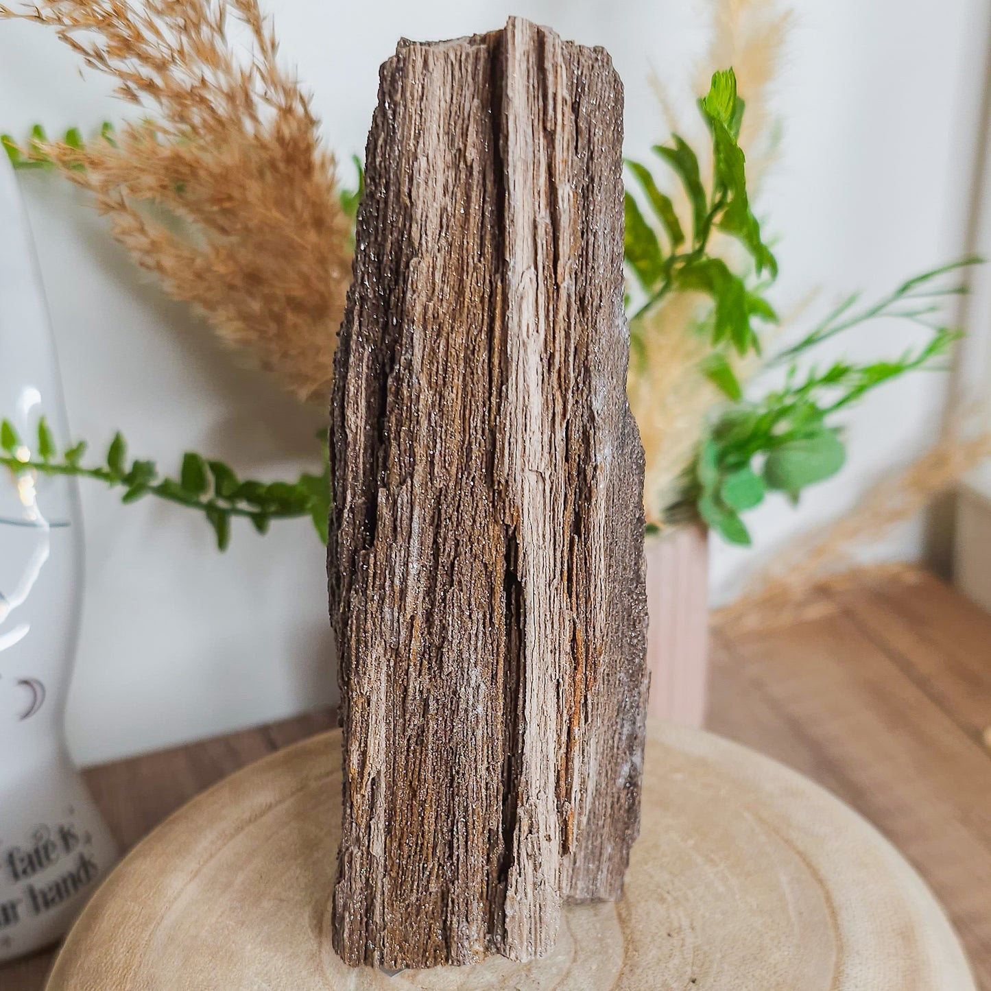 Rare Permineralized Wood (Petrified Wood) with very Sparkly Microcrystalline Quartz