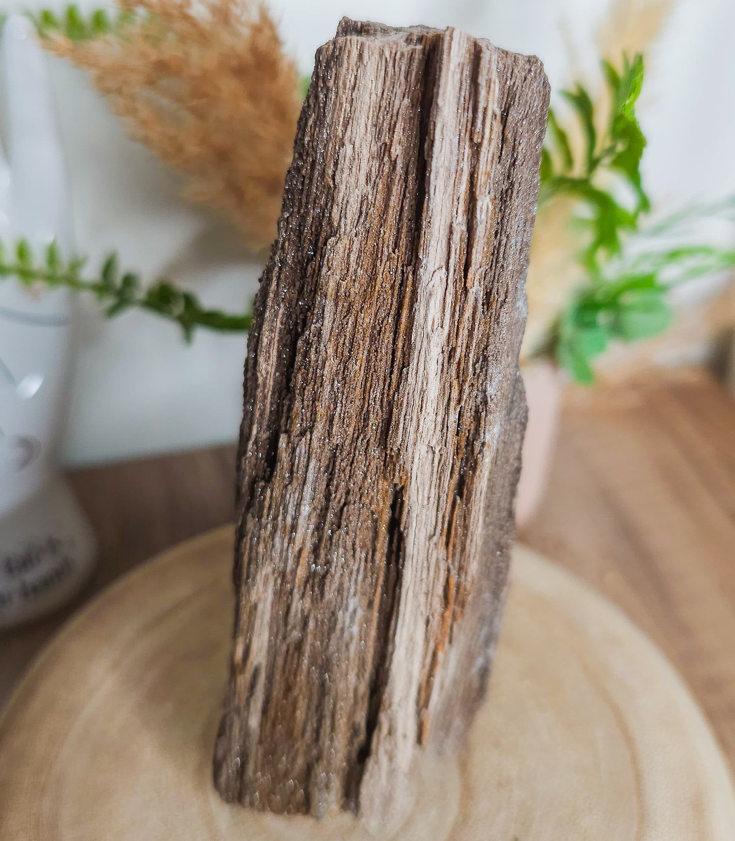 Rare Permineralized Wood (Petrified Wood) with very Sparkly Microcrystalline Quartz