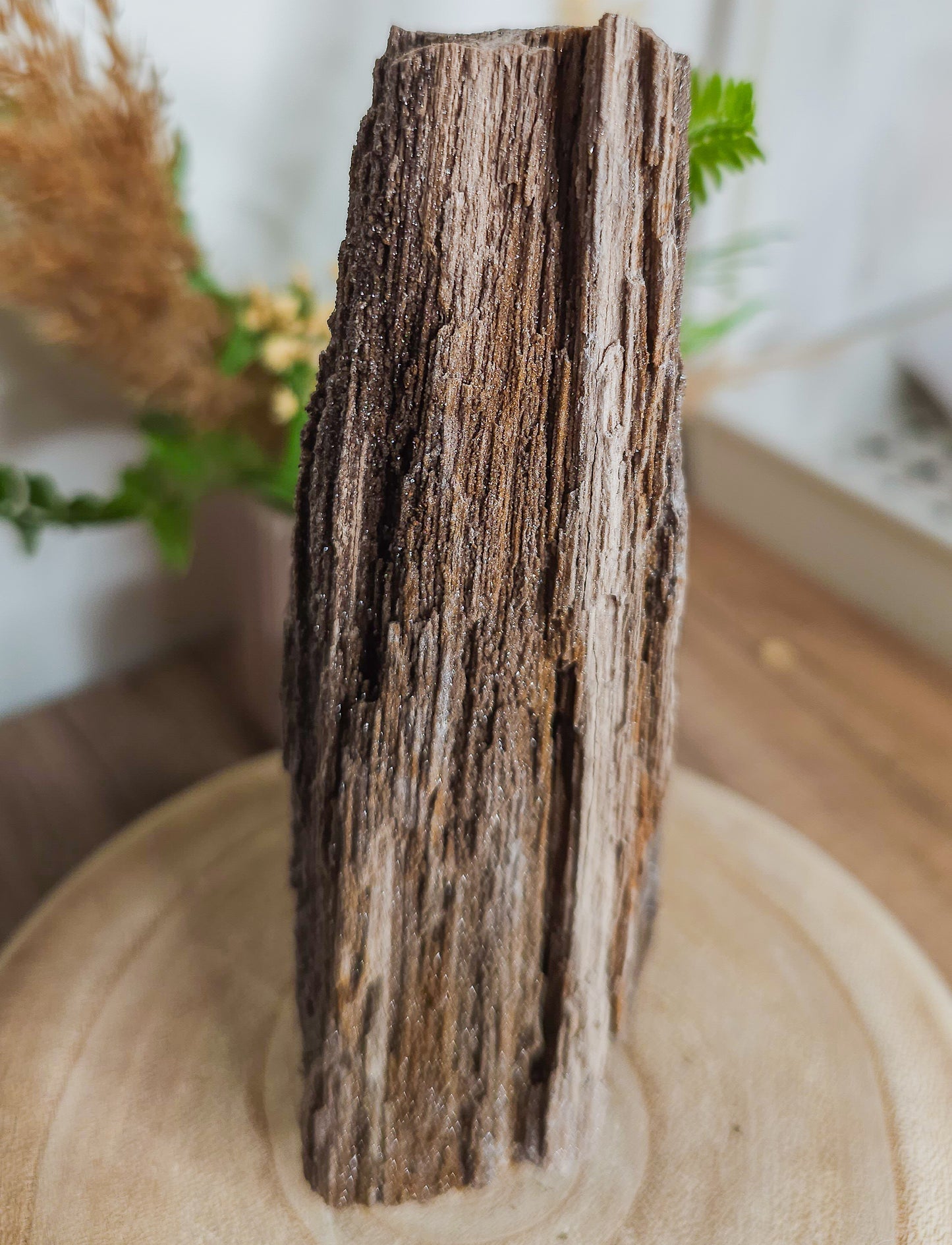 Rare Permineralized Wood (Petrified Wood) with very Sparkly Microcrystalline Quartz