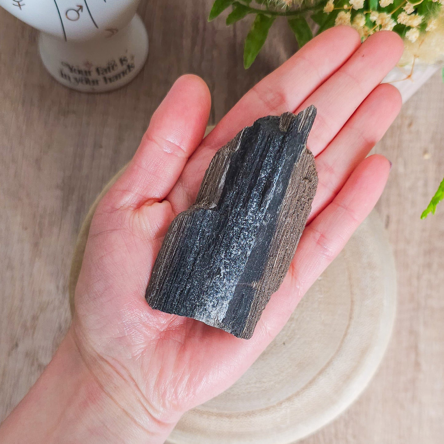 Rare Permineralized Wood (Petrified Wood) with very Sparkly Microcrystalline Quartz