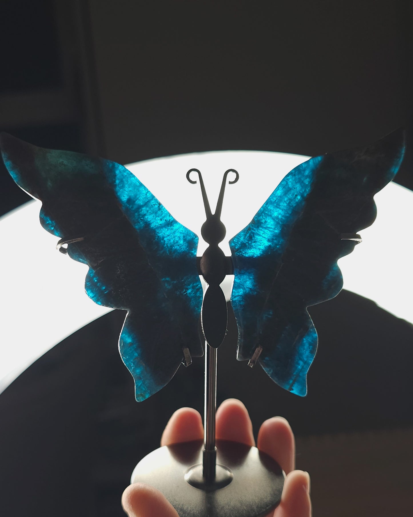 Blue Apatite Butterfly Wings on Stand