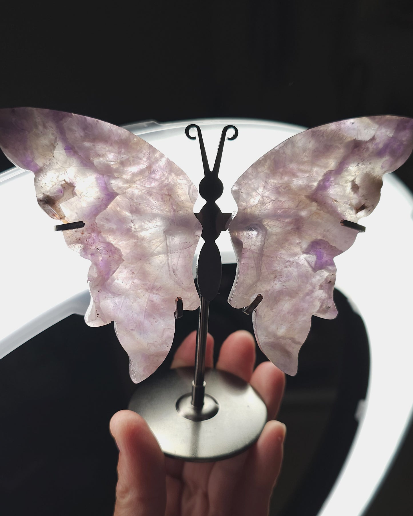 Amethyst Butterfly Wings on Stand