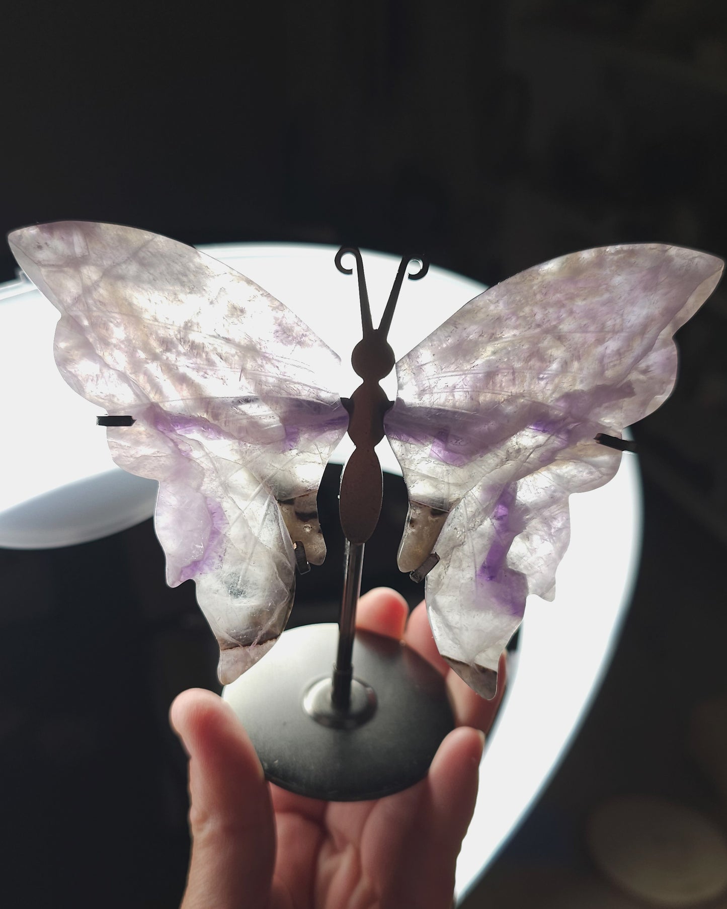 Amethyst Butterfly Wings on Stand