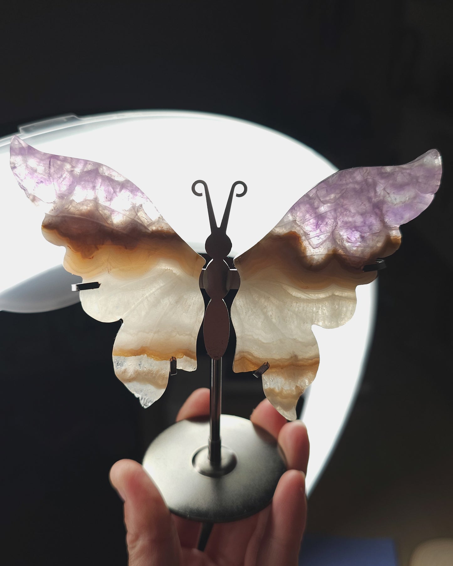 Amethyst, Agate & Clear Quartz Butterfly Wings on Stand