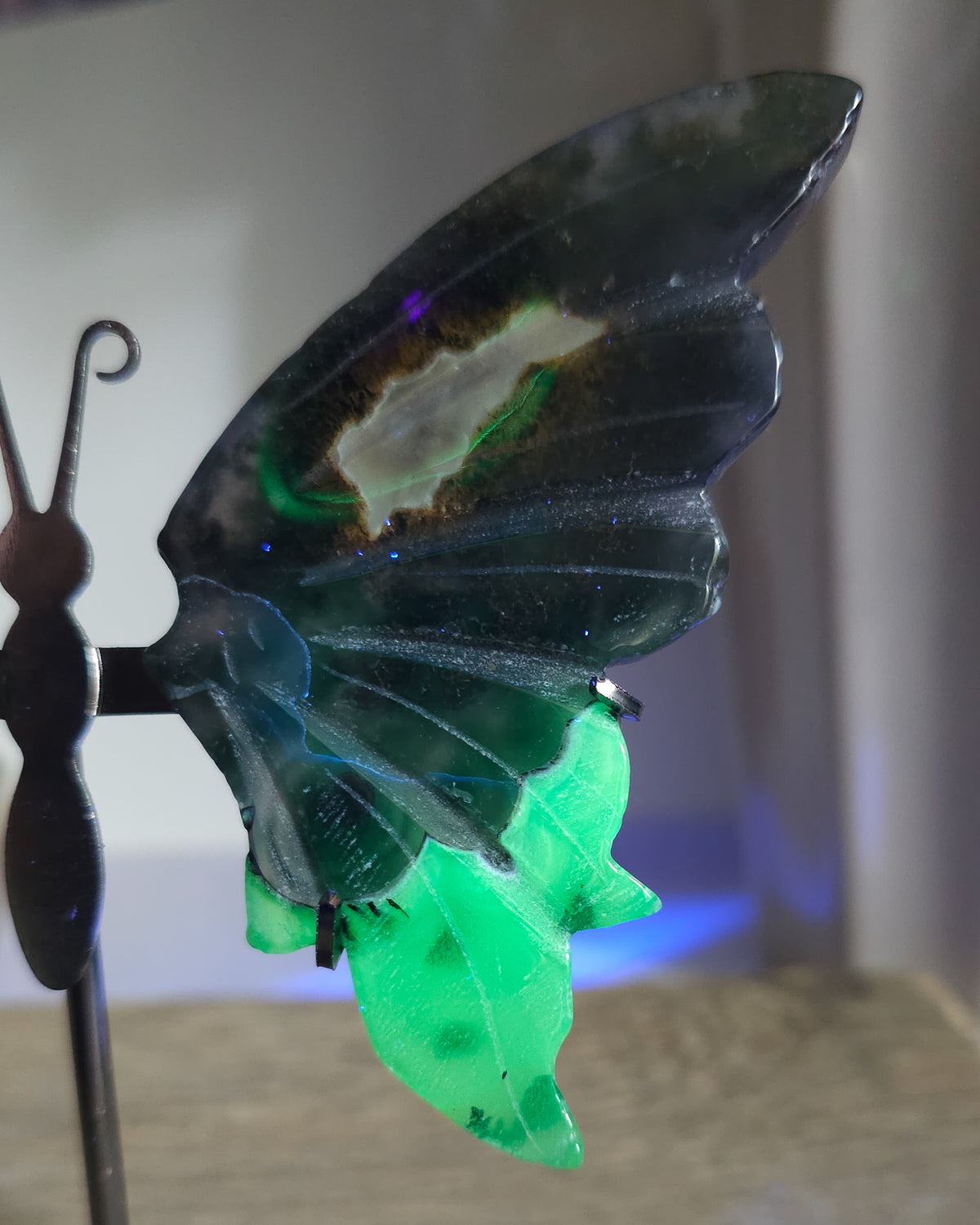 Fluorescent Volcano Agate butterfly wings with natural dendritic inclusions on a black metal stand, glowing green under UV light.