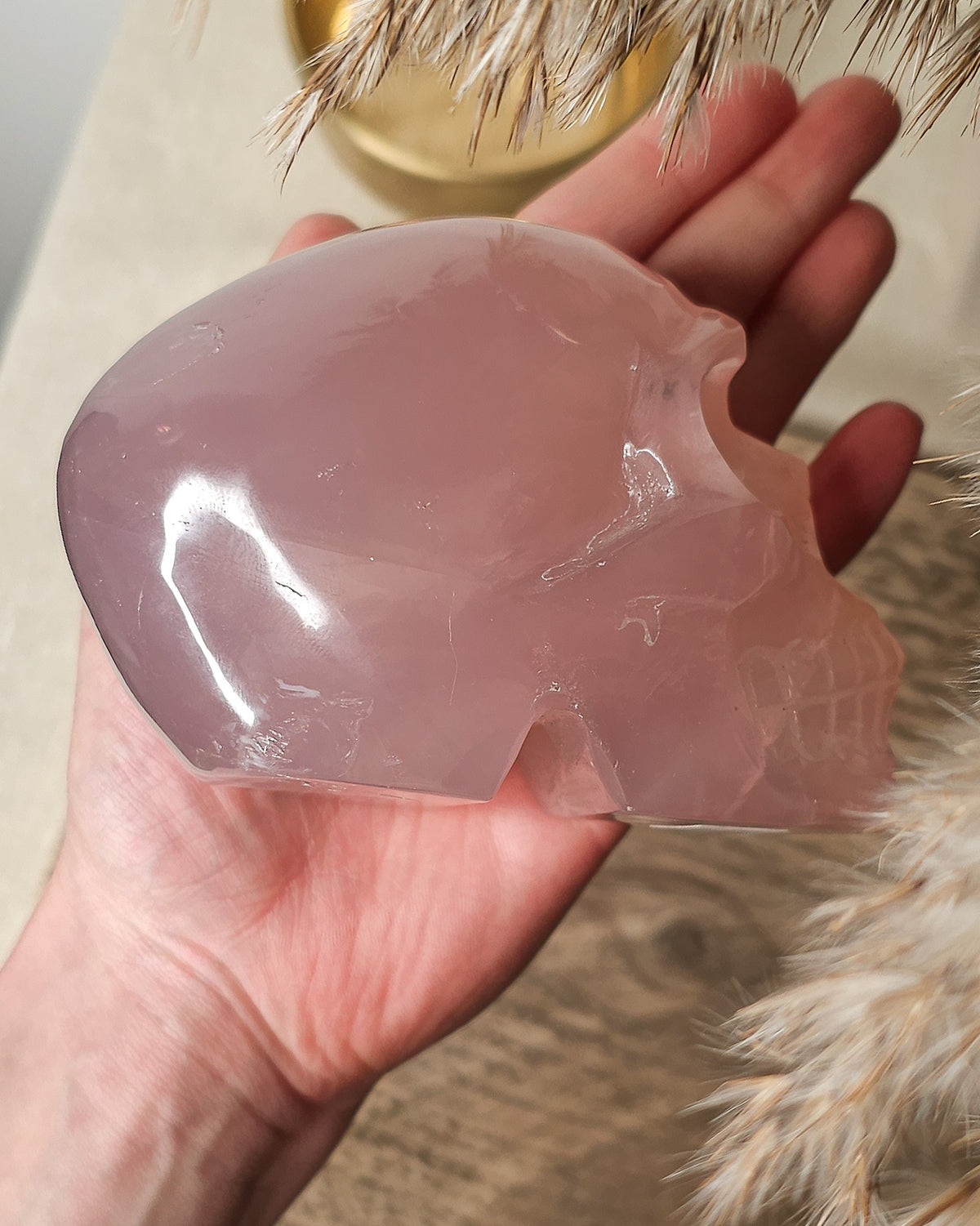 Rose Quartz | Statement Crystal Skull Carving 820g