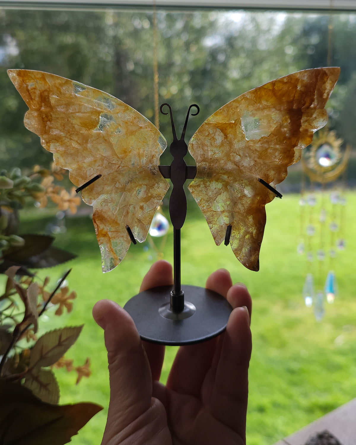 Golden Healer Quartz Butterfly Wings On The Stand