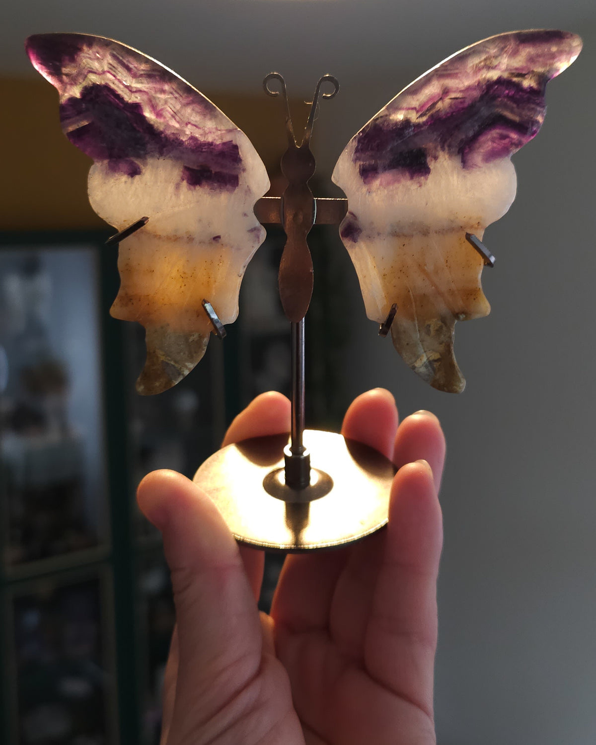 Fluorite | Crystal Butterfly Wings On The Stand