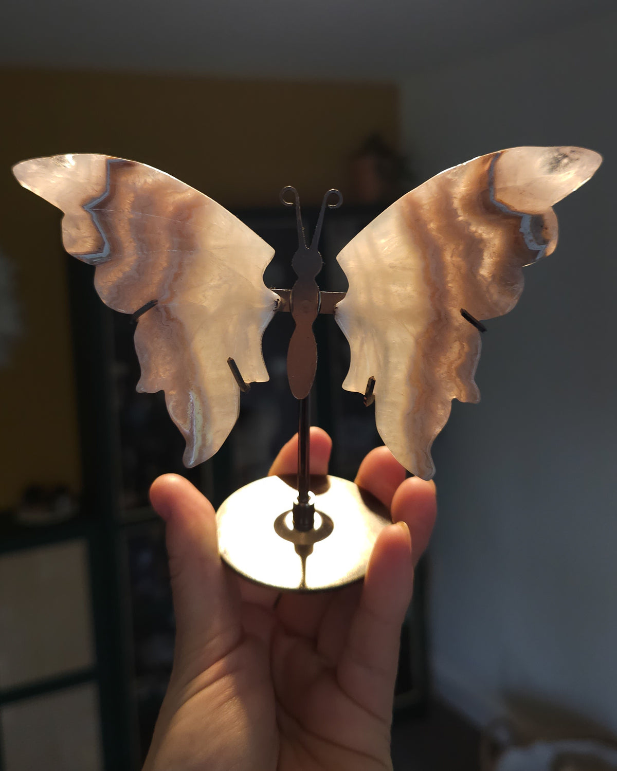 Banded Agate & Quartz | Crystal Butterfly Wings On The Stand