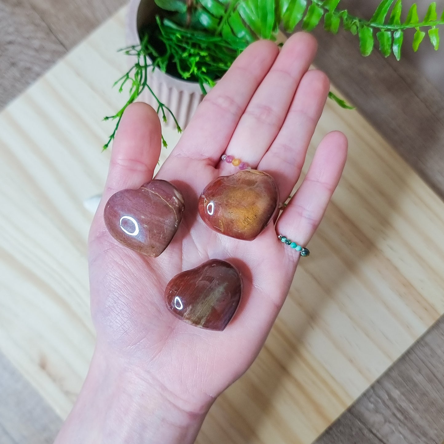 Petrified Wood Hearts